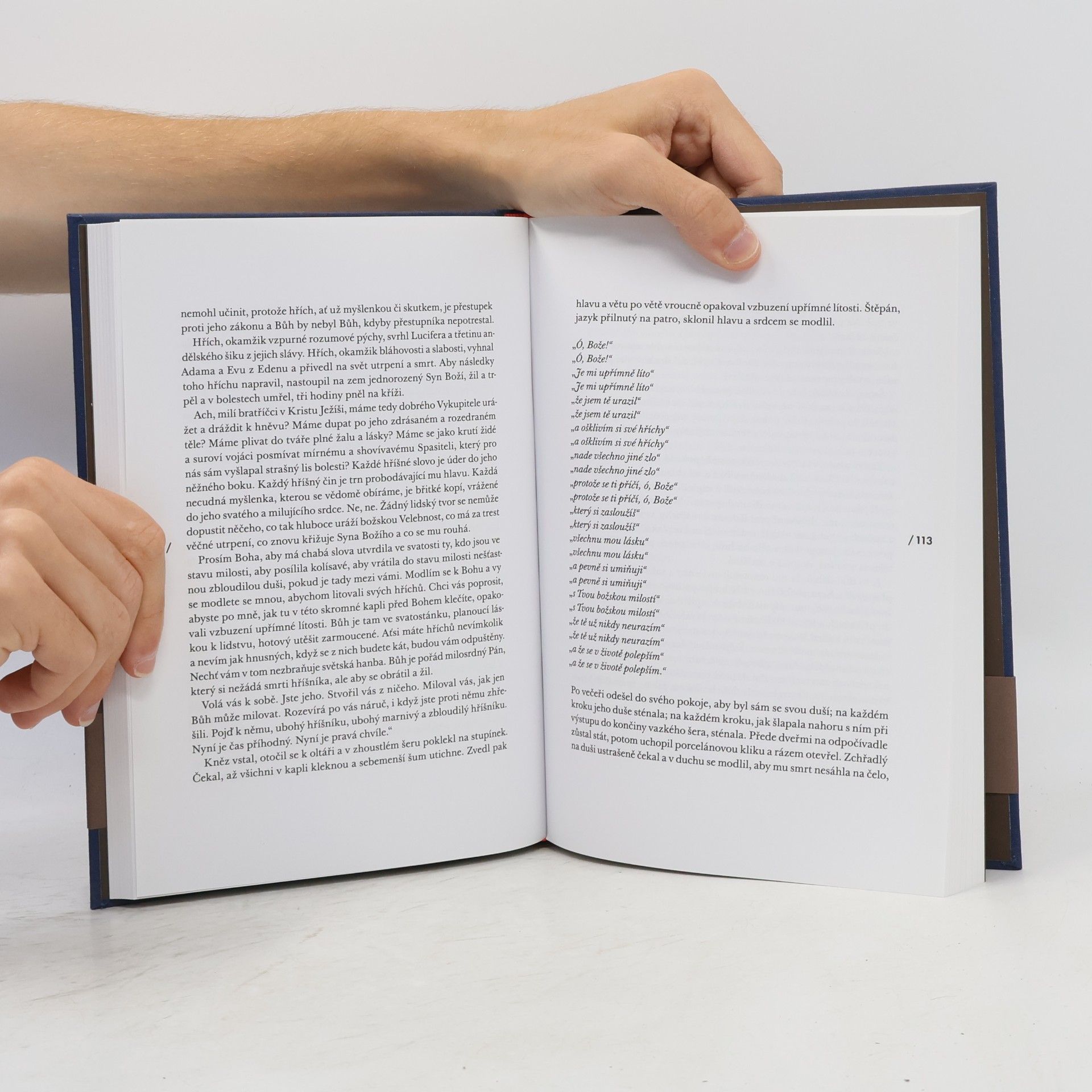 James Joyce Portrét umělce v jinošských letech