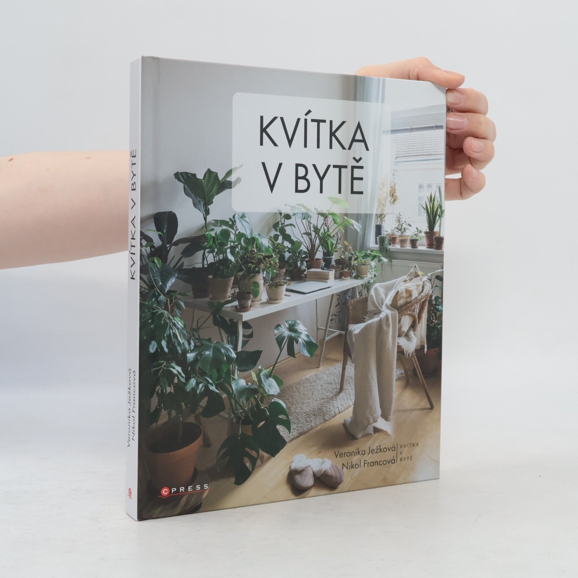 Veronika Ježková Kvítka v bytě