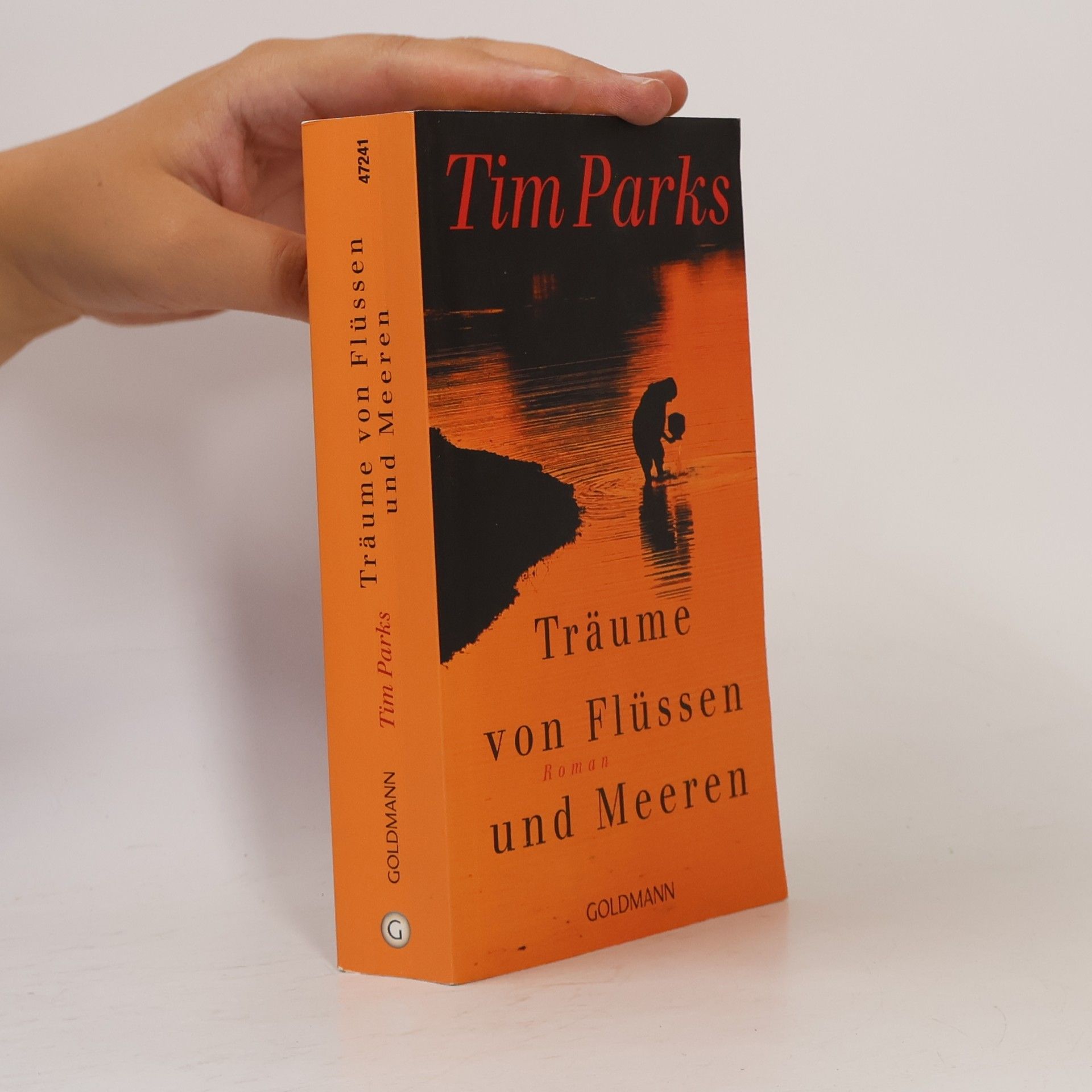 Tim Parks Träume von Flüssen und Meeren