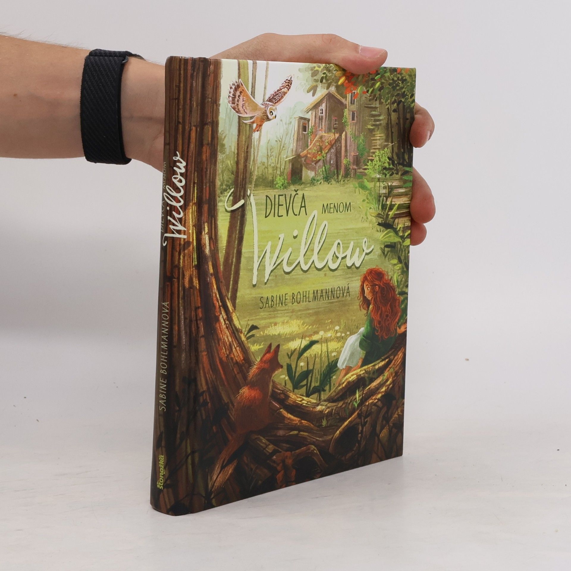 Sabine Bohlmann Dievča menom Willow