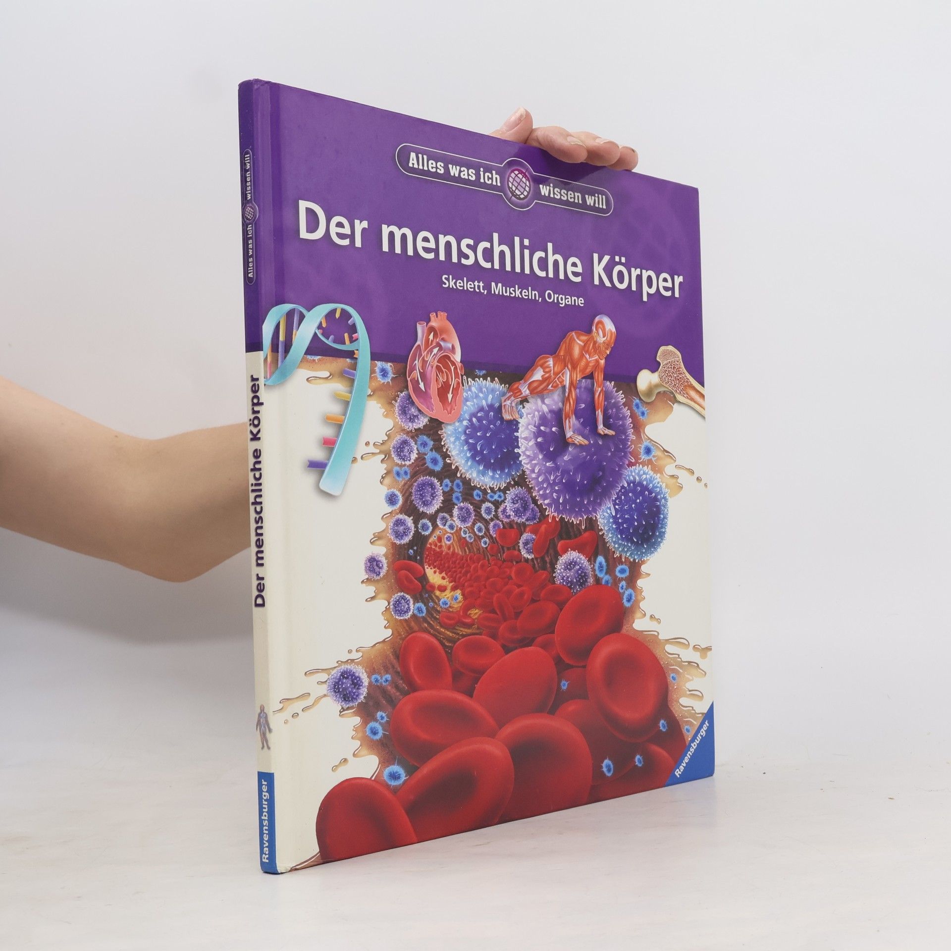 Steve Parker Der menschliche Körper