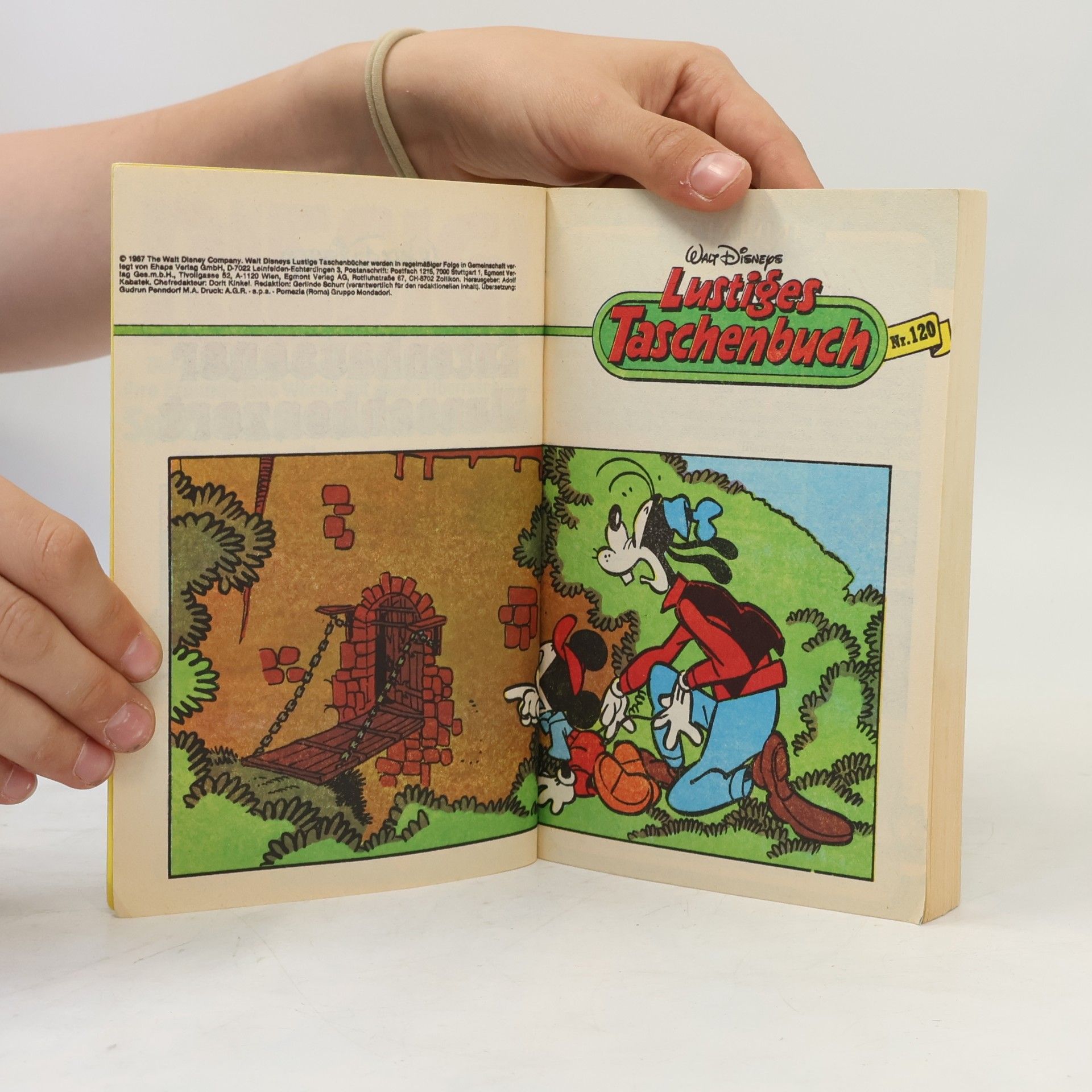 Walt Disney Lustiges Taschenbuch 120. Entenhausener Wunschkonzert