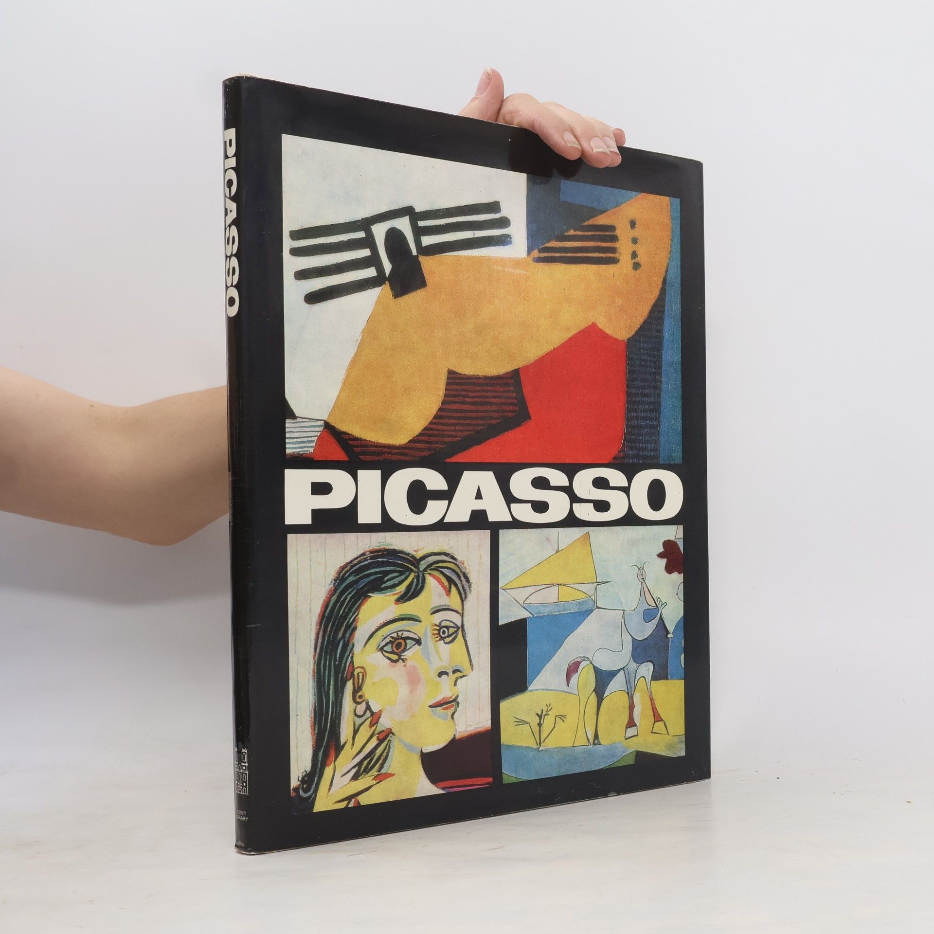 Various authors Picasso