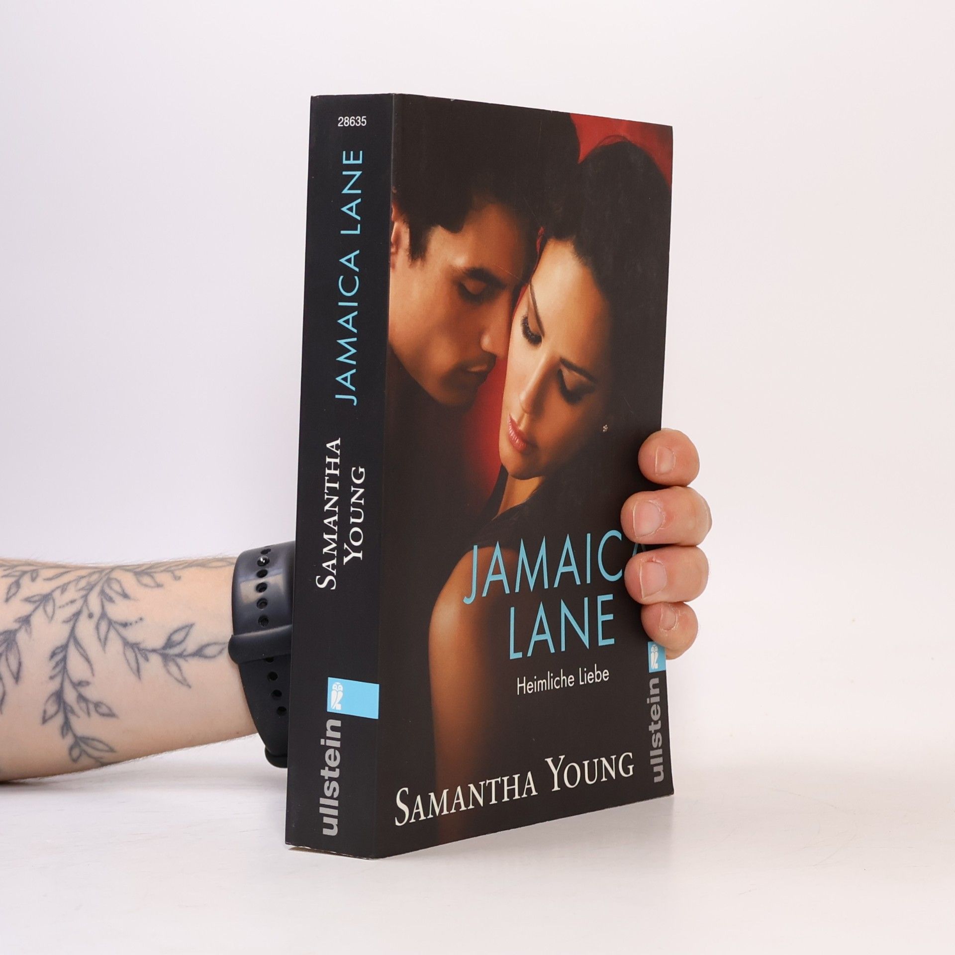 Samantha Young Jamaica Lane: Heimliche Liebe