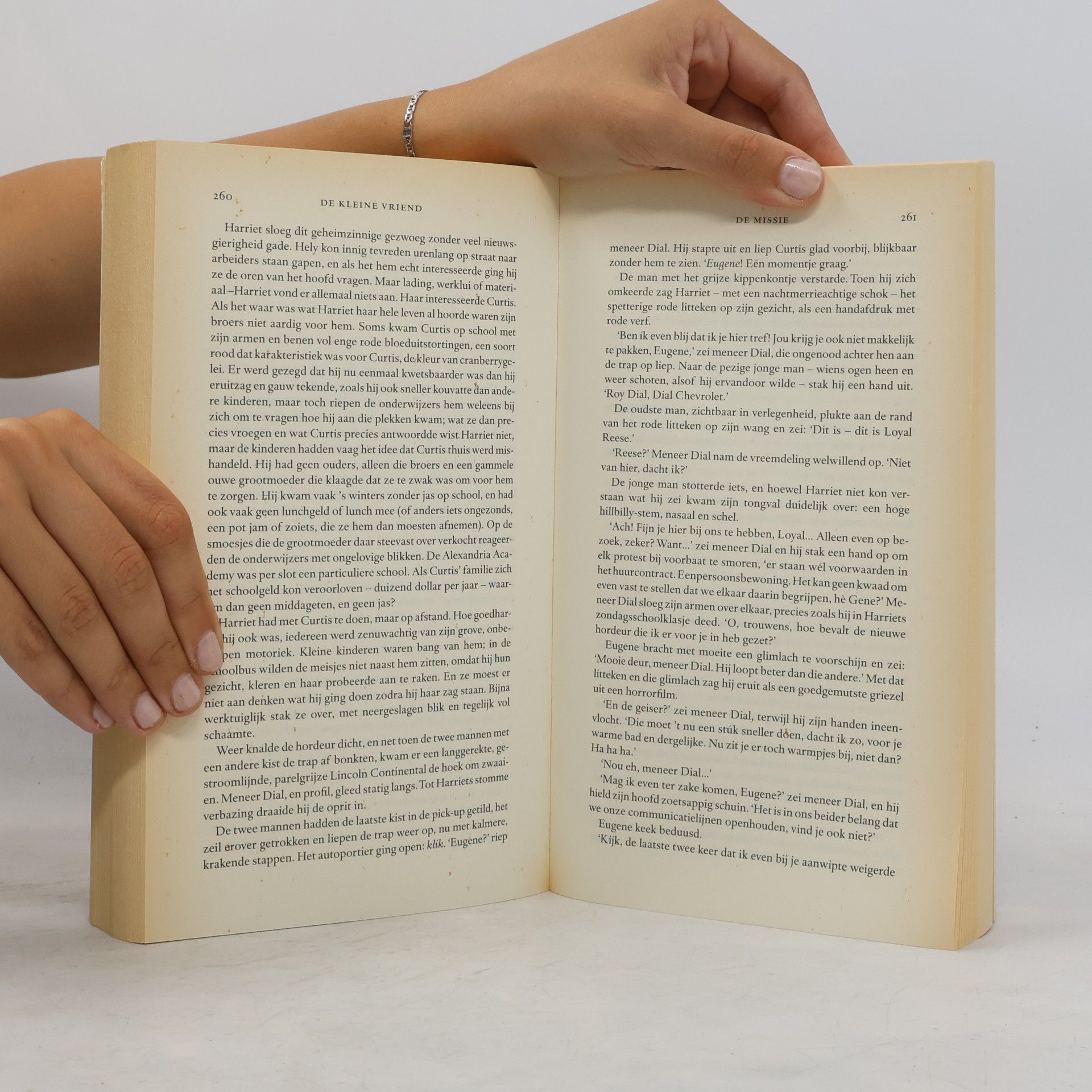 Donna Tartt De Kleine Vriend