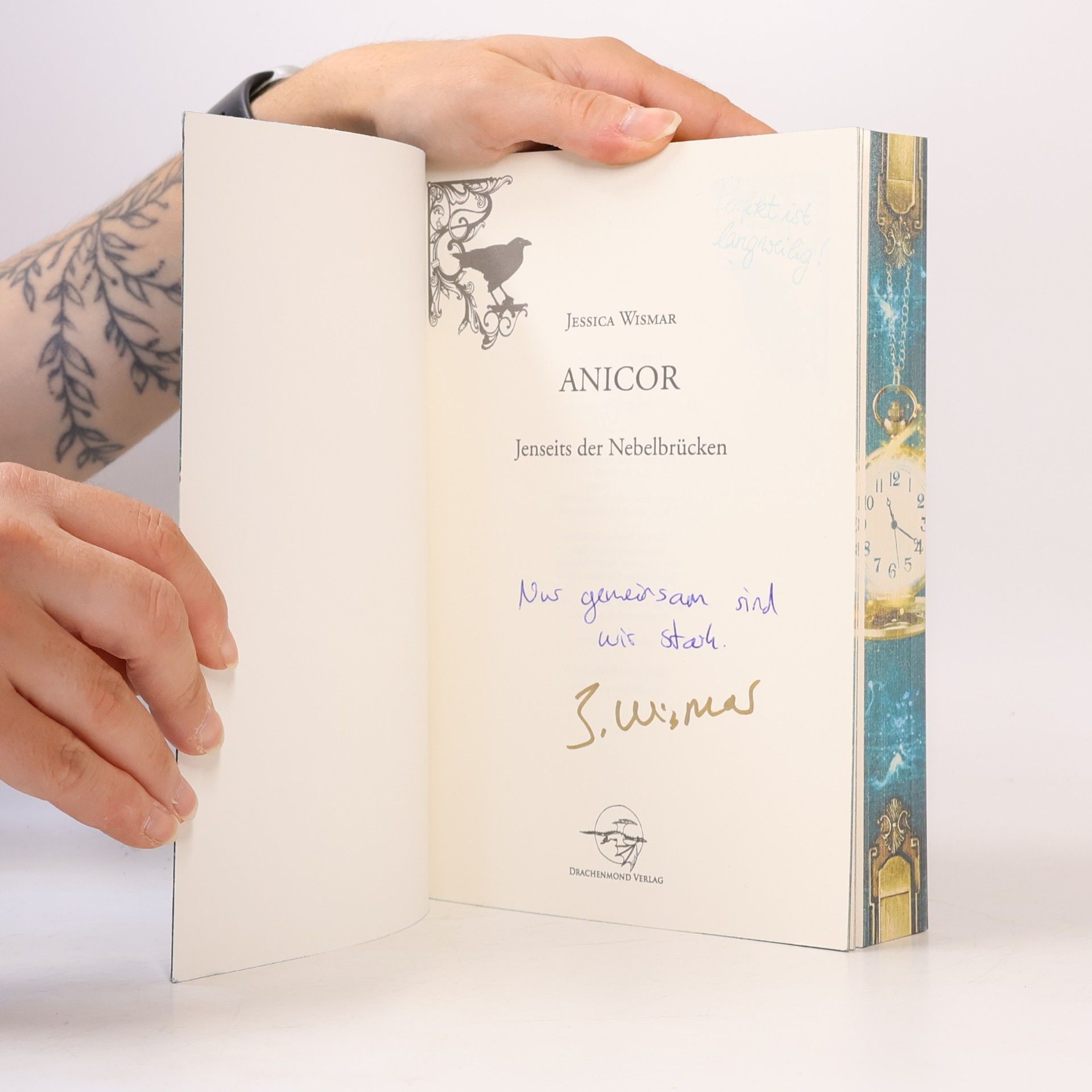 Jessica Wismar Anicor - Jenseits der Nebelbrücken