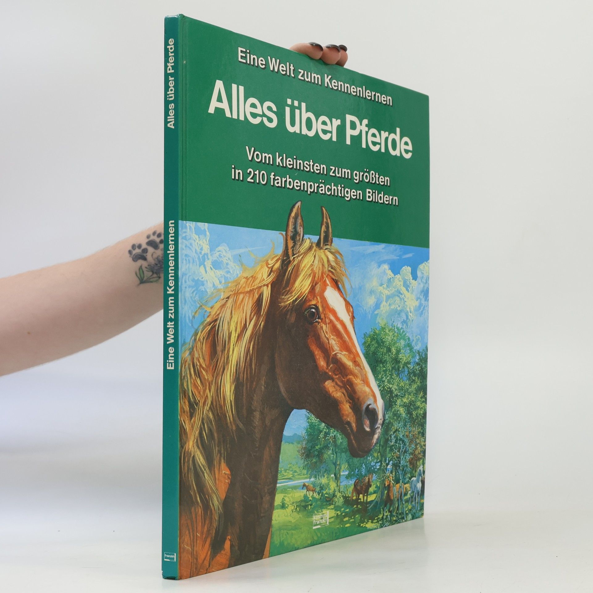 Sigrid Eicher Alles über Pferde