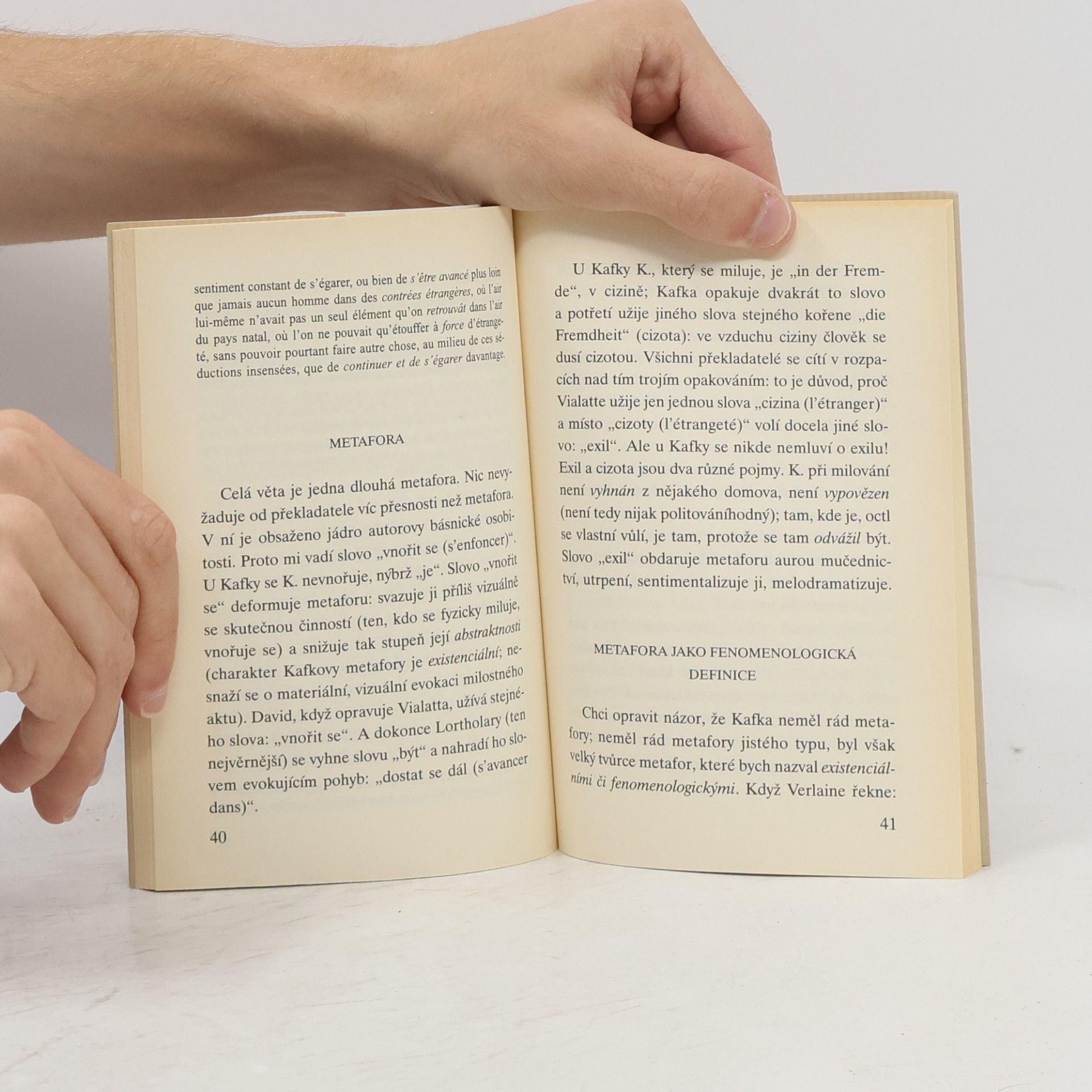 Milan Kundera Kastrující stín svatého Garty