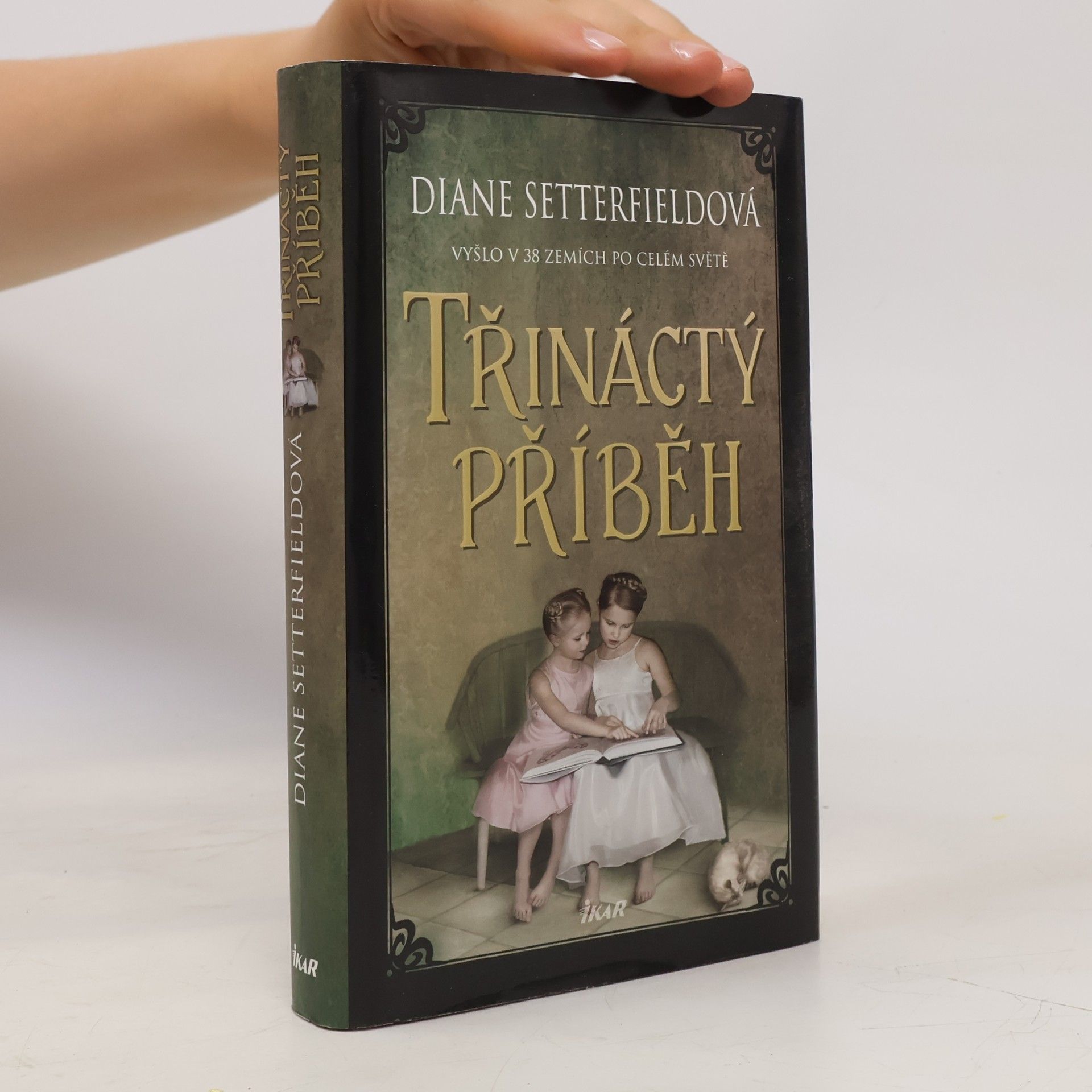 Diane Setterfield Třináctý příběh