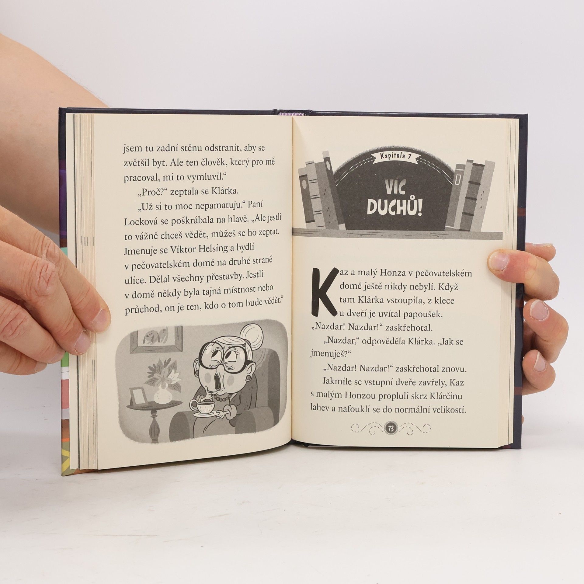 Dori Hillestad Butler Strašidelná knihovna. Tajný pokoj