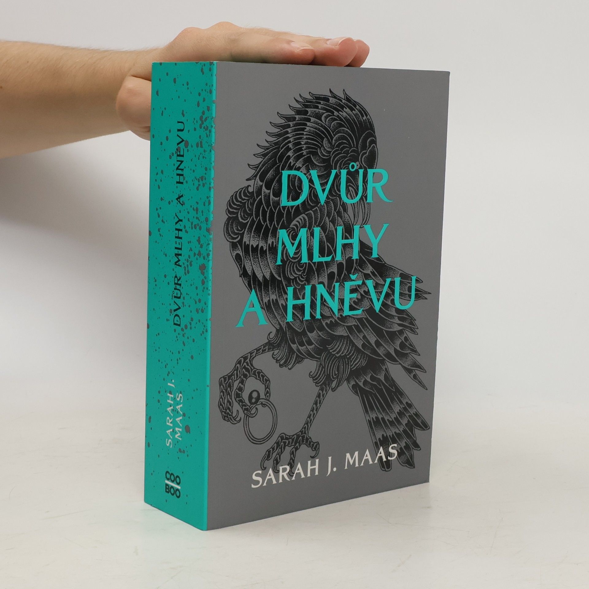 Sarah J. Maas Dvůr mlhy a hněvu