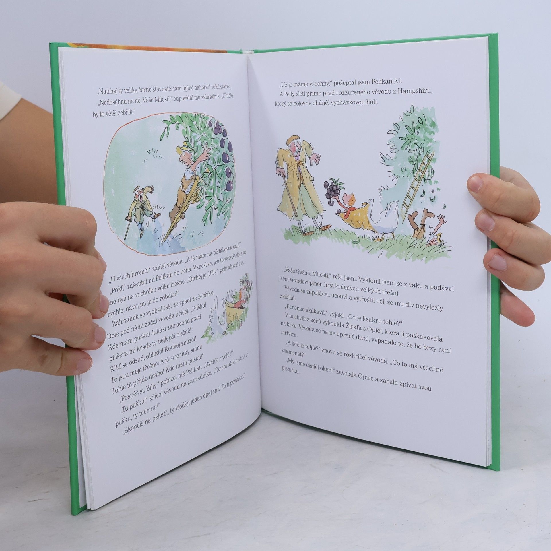 Roald Dahl Žirafa, pelikán a já