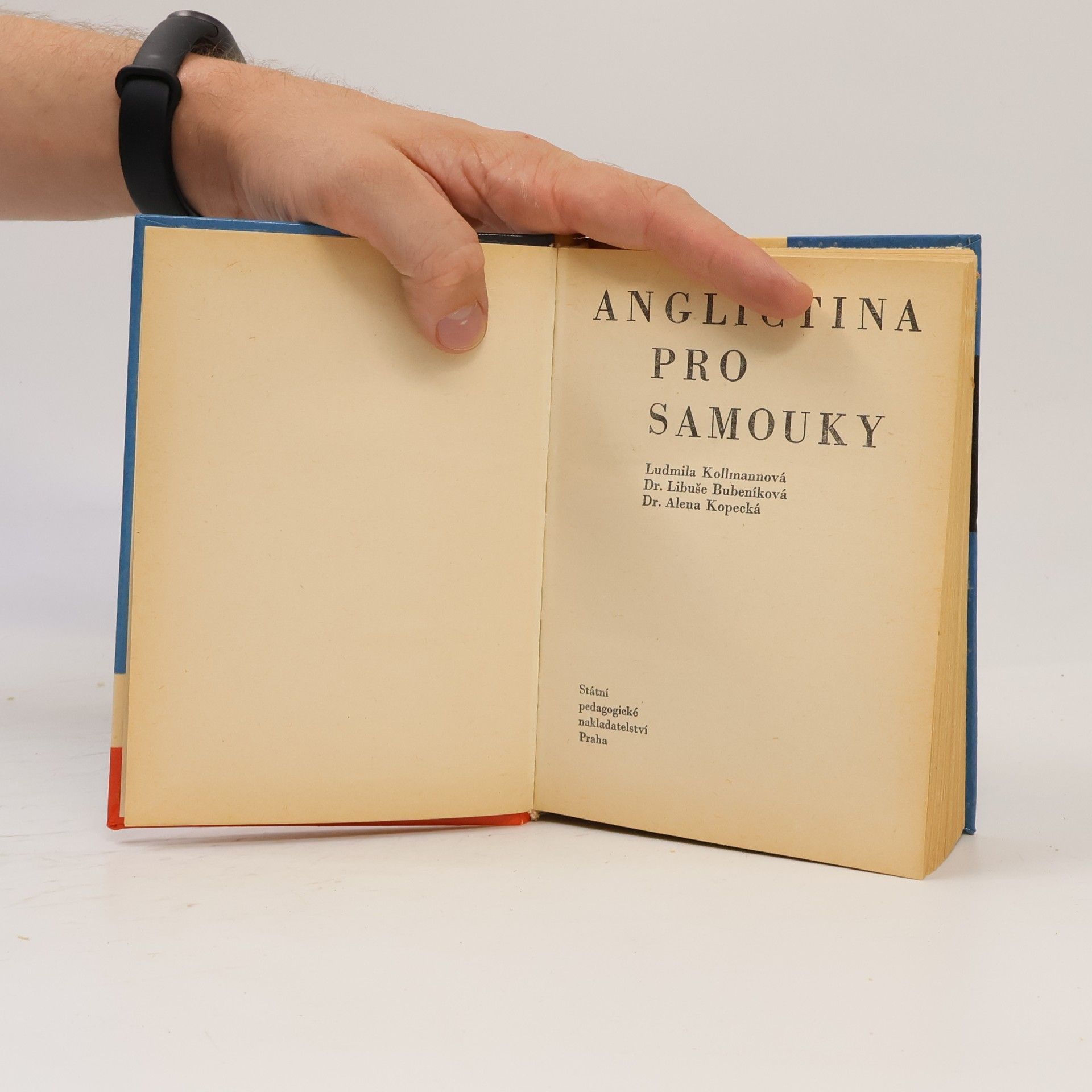 Ludmila Kollmannova Angličtina pro samouky