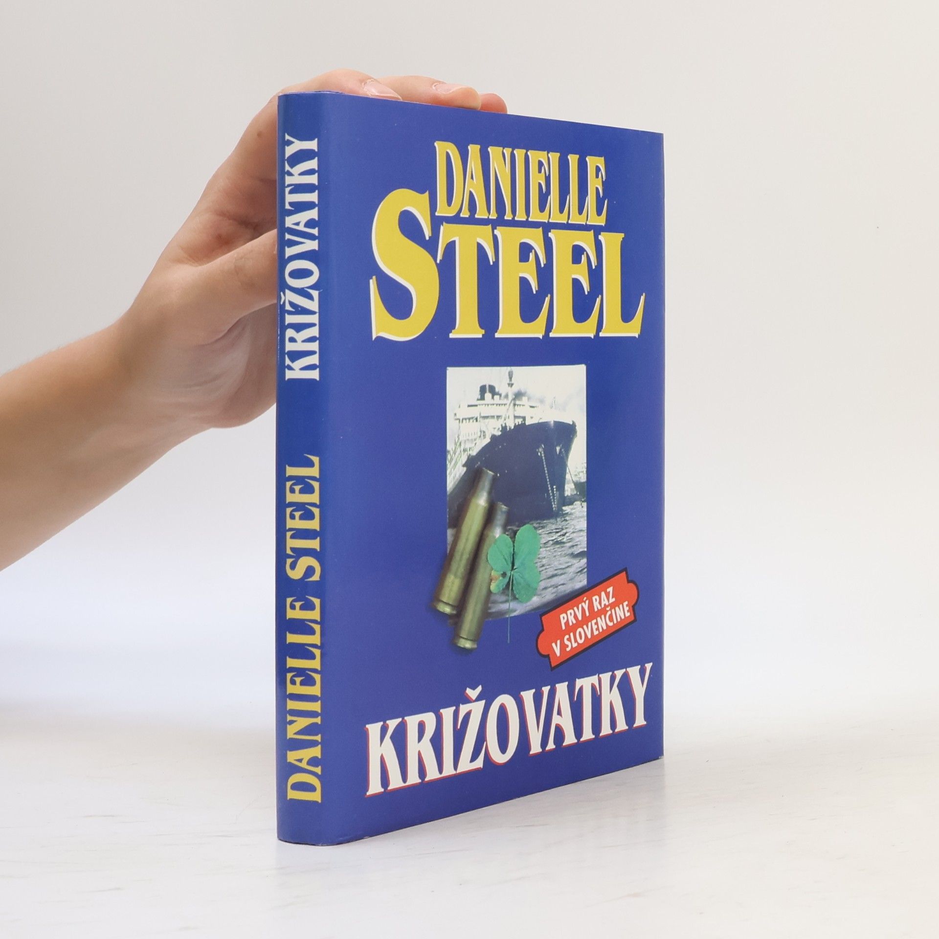 Danielle Steel Križovatky