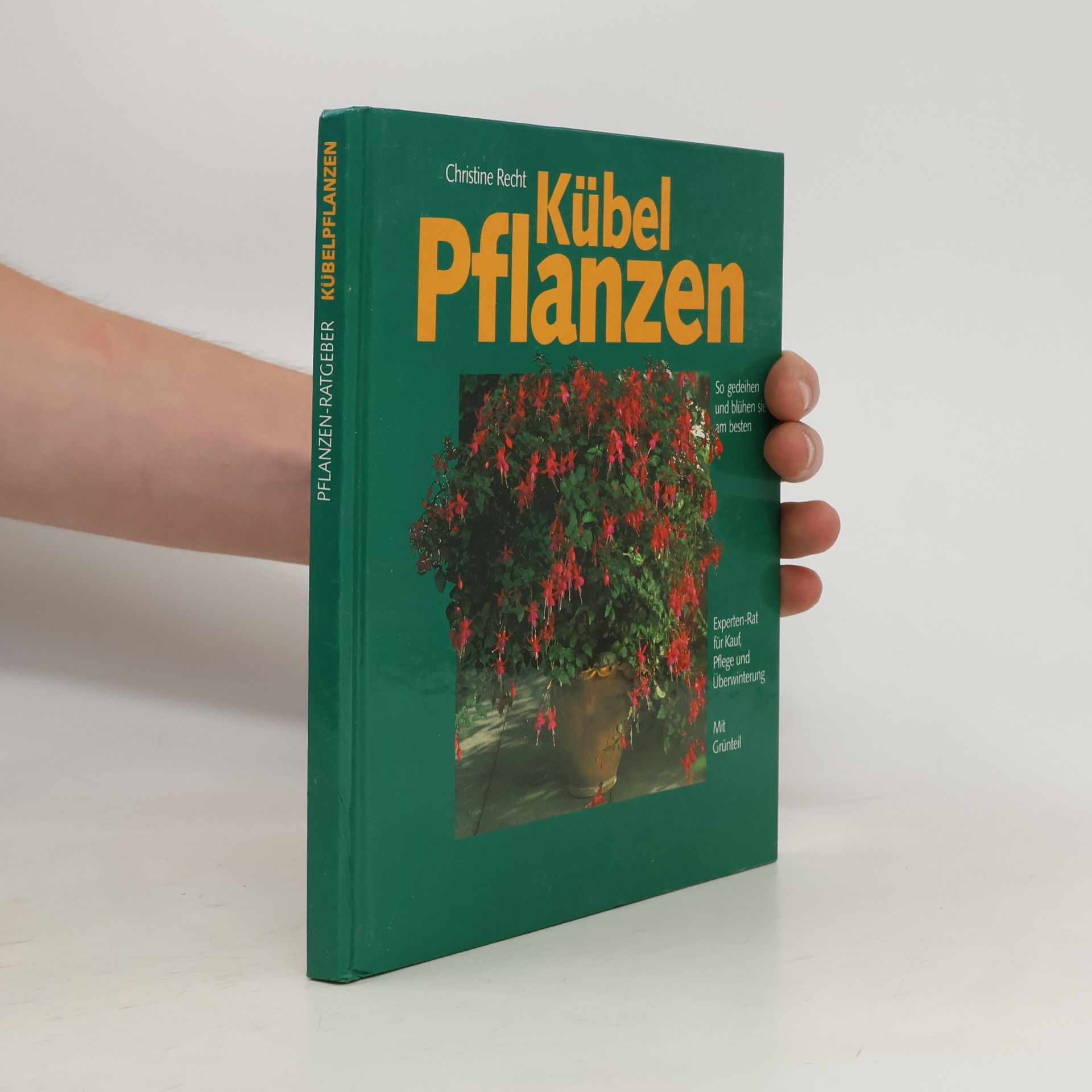 Kübelpflanzen