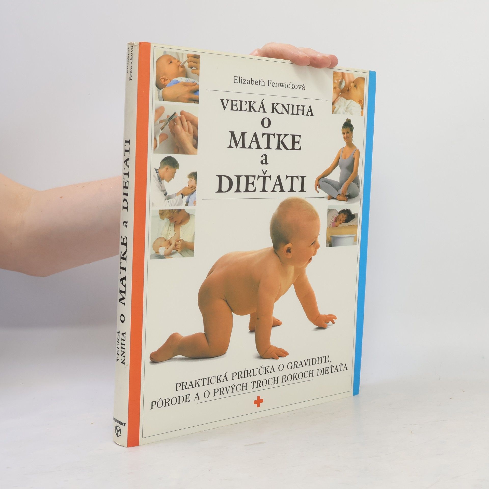 Elizabeth Fenwick Veľká kniha o matke a dieťati