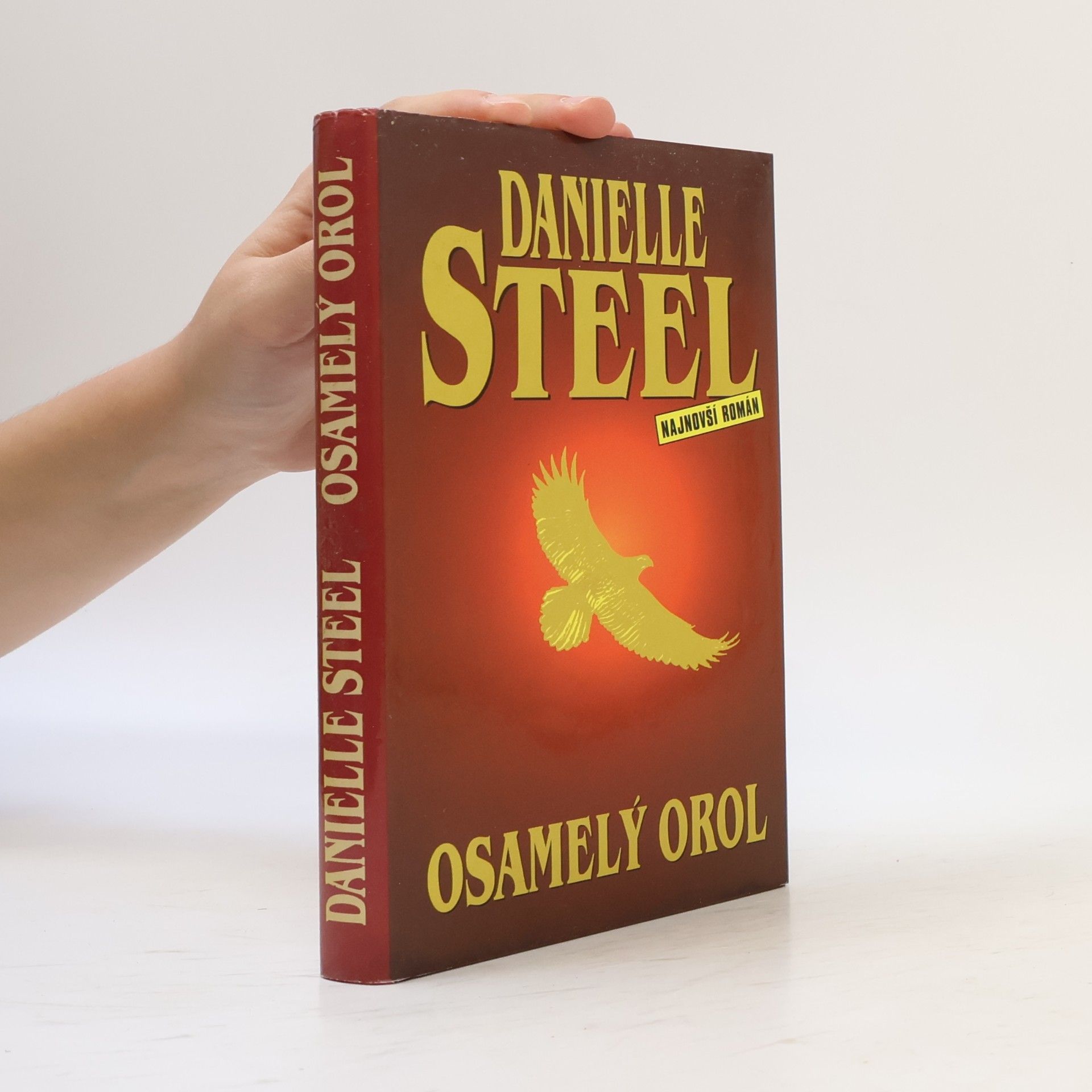 Danielle Steelová Osamelý orol