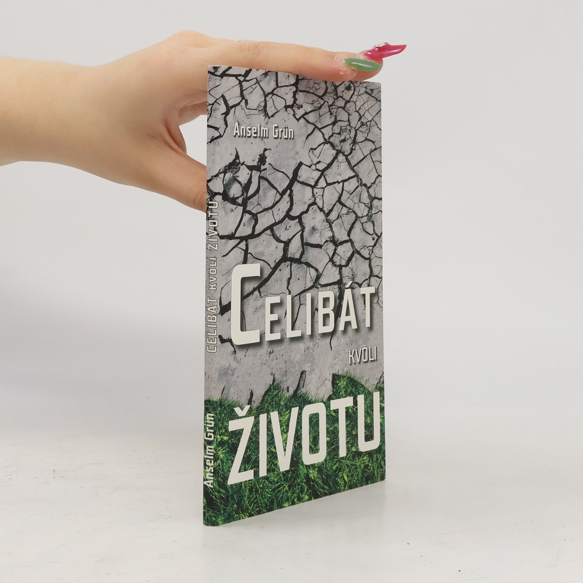 Anselm Grün Celibát kvôli životu