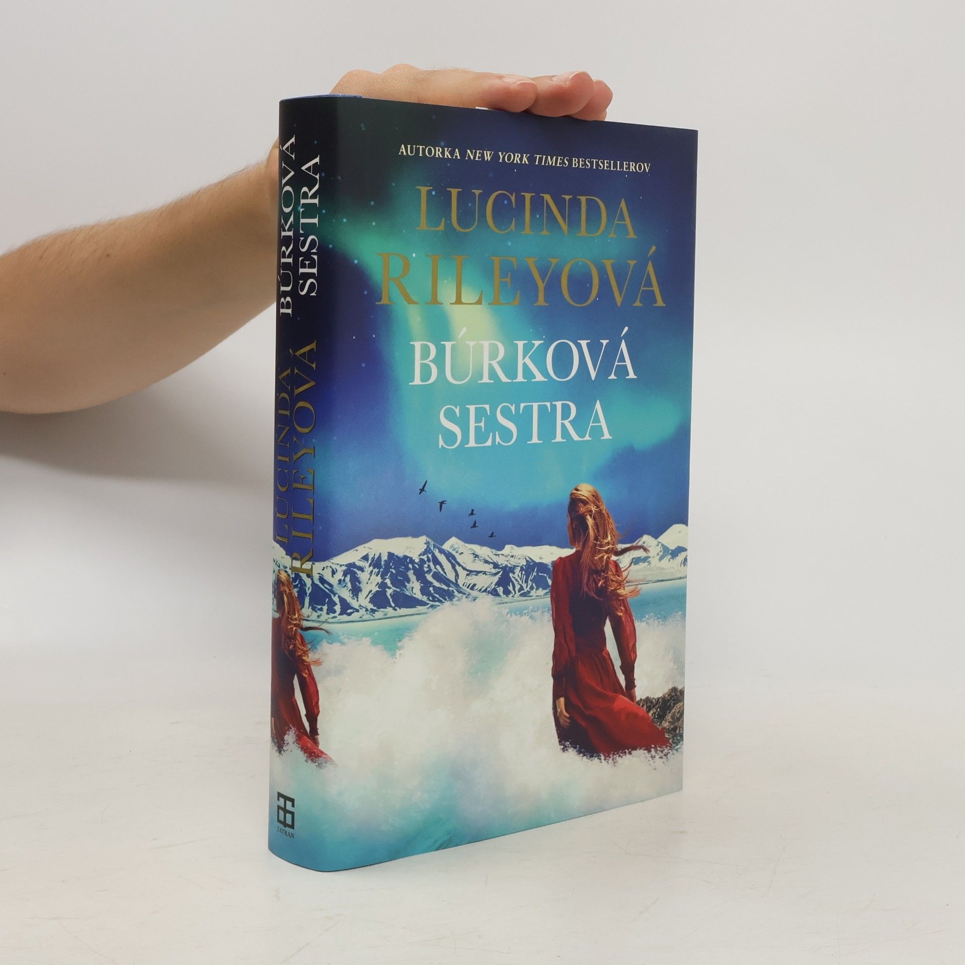 Lucinda Riley Búrková sestra