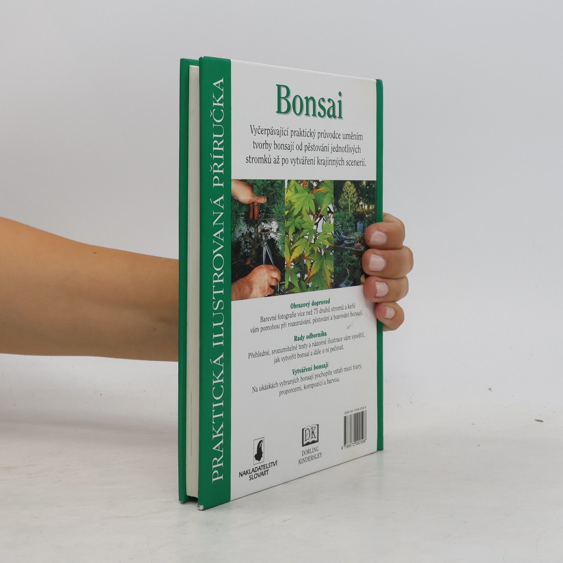 Dana Wiesnerová Bonsai. Praktická ilustrovaná příručka