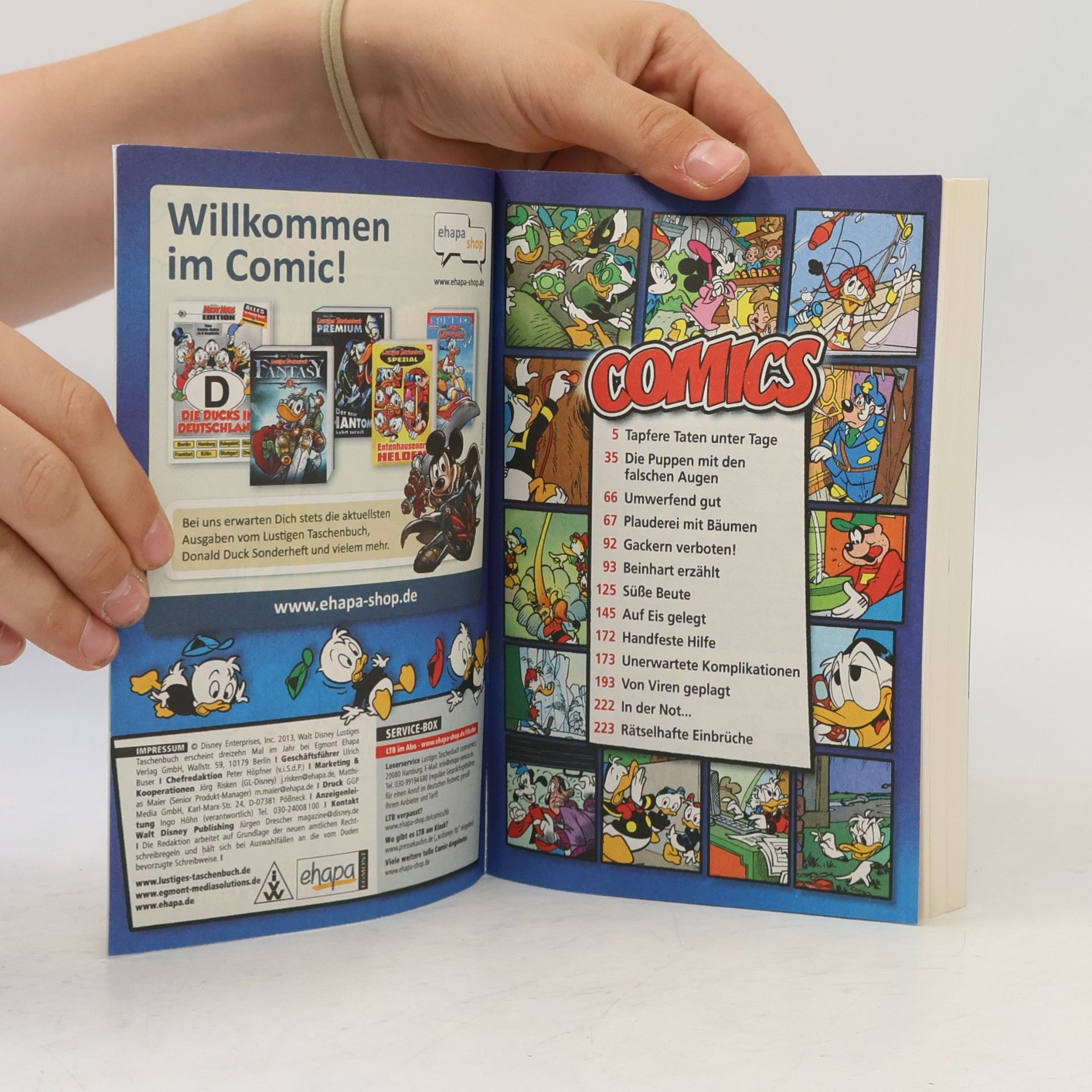 Walt Disney Lustiges Taschenbuch 445. Ein Traum von Ferien