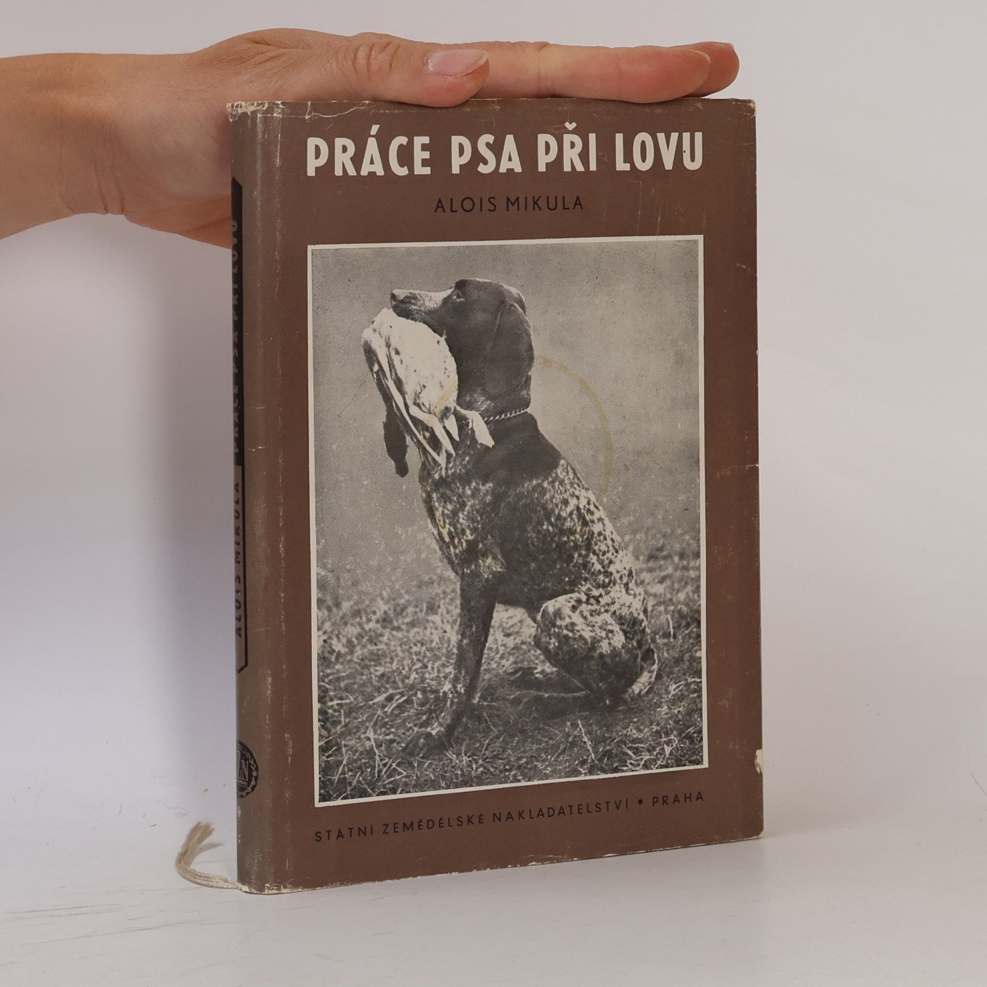 Alois Mikula Práce psa při lovu
