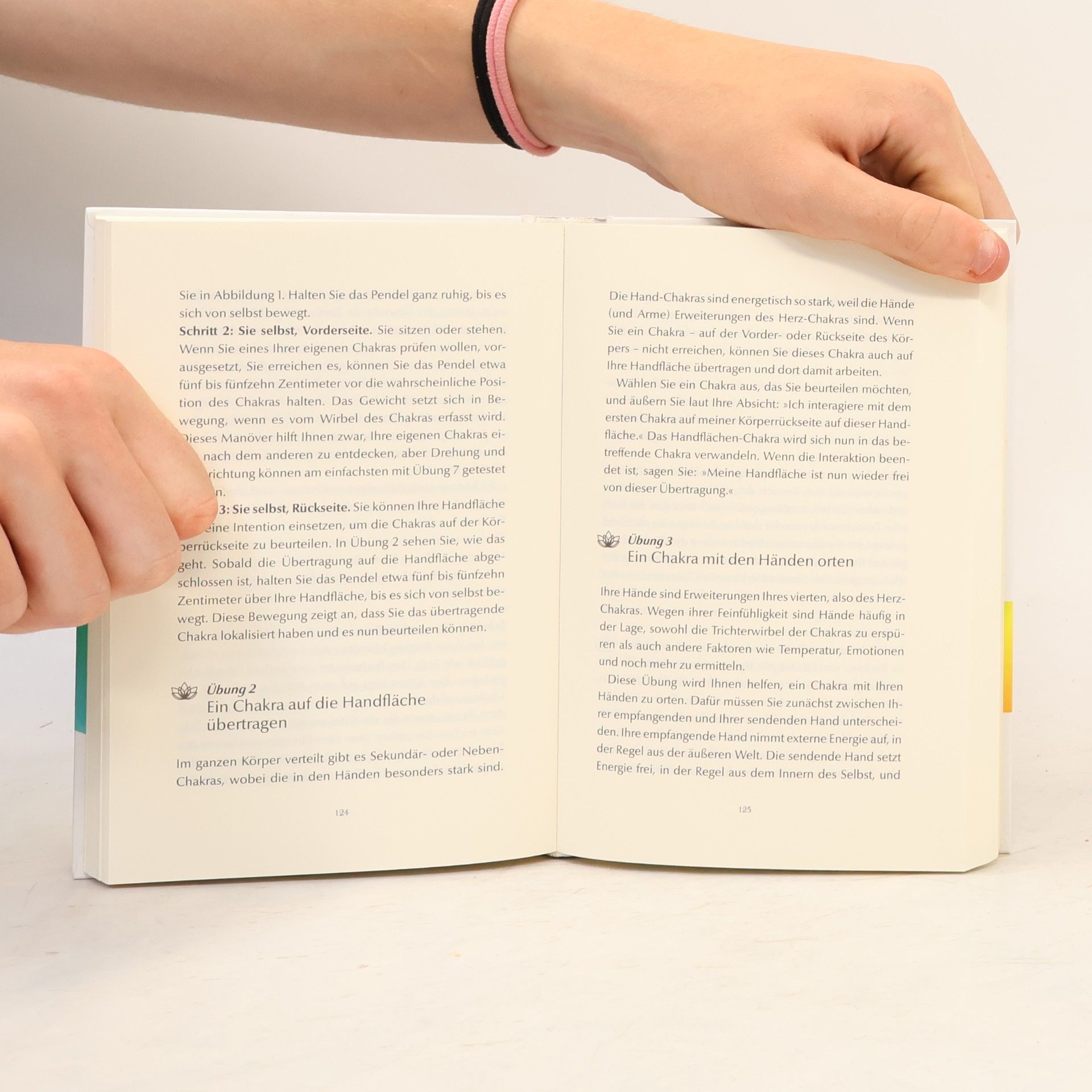 Cyndi Dale Das Handbuch der CHAKRA-ARBEIT