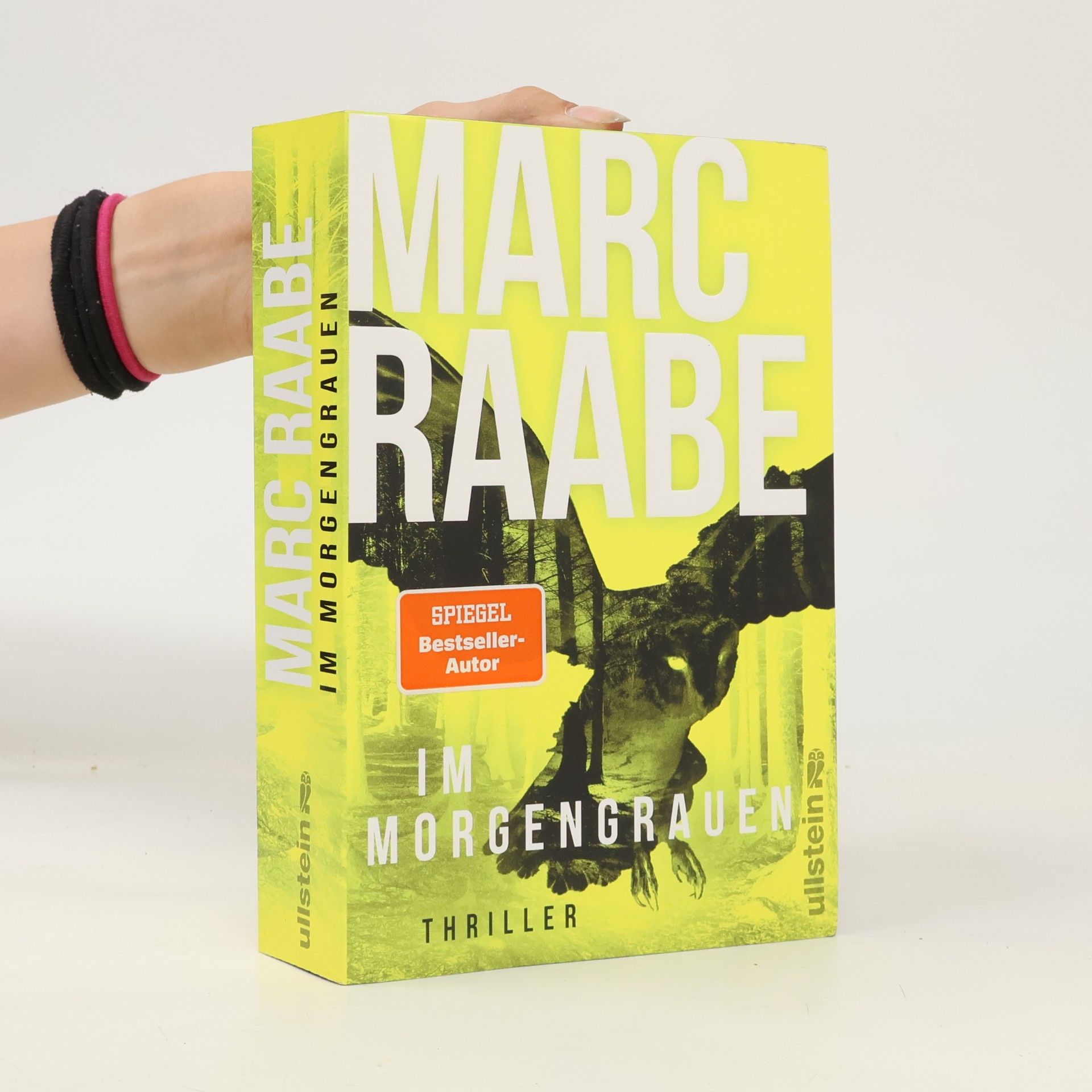 Marc Raabe Art Mayer-Serie - 4: Im Morgengrauen