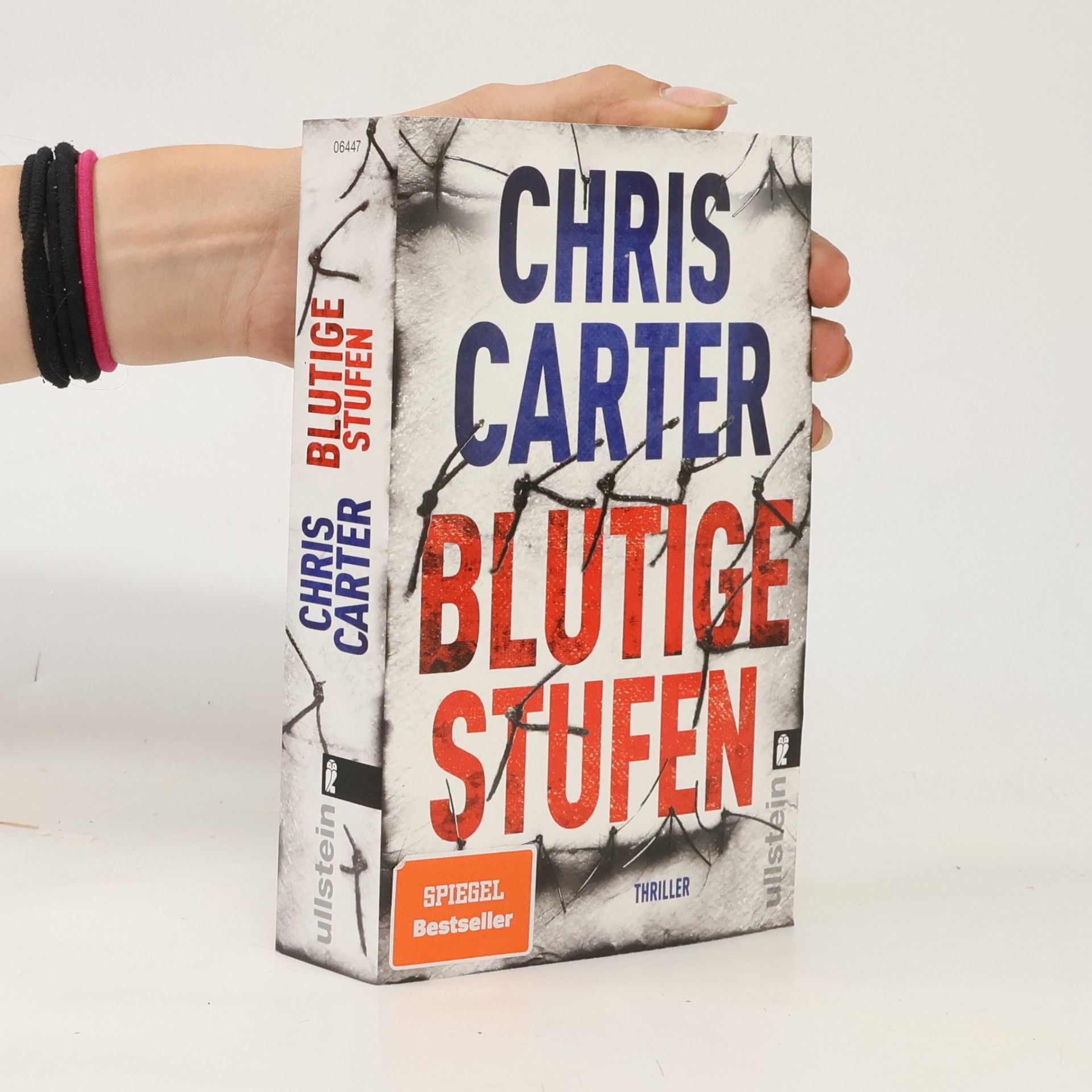Chris Carter Blutige Stufen