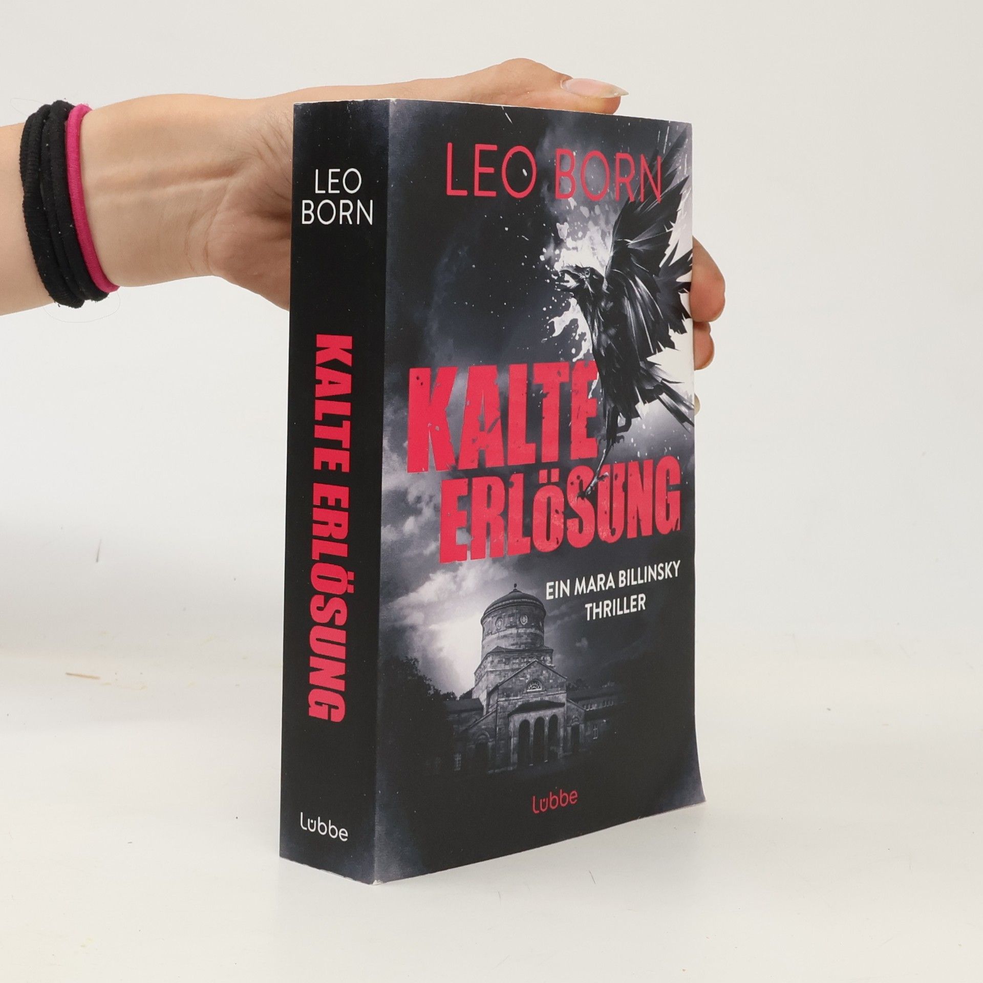 Leo Born Kalte Erlösung. Ein Mara-Billinsky-Thriller