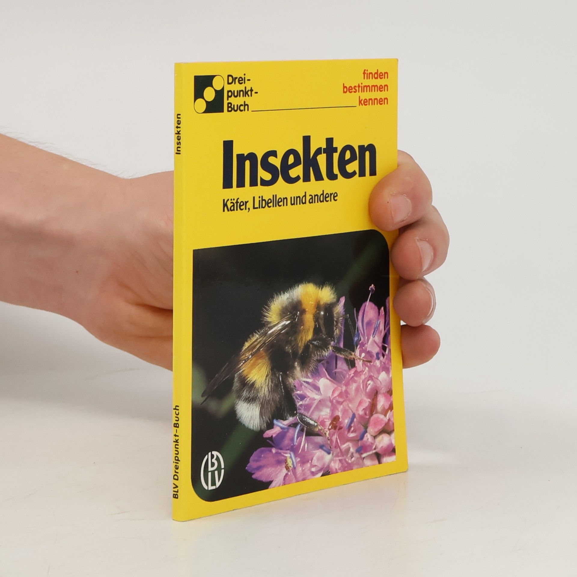 Autorenkollektiv Insekten