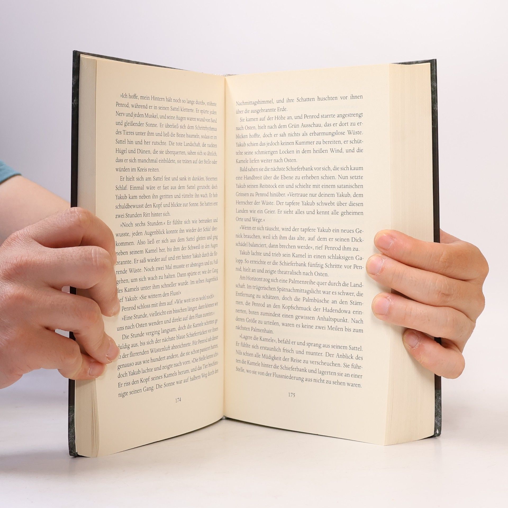 Wilbur A. Smith Der Stolz des Nubiers