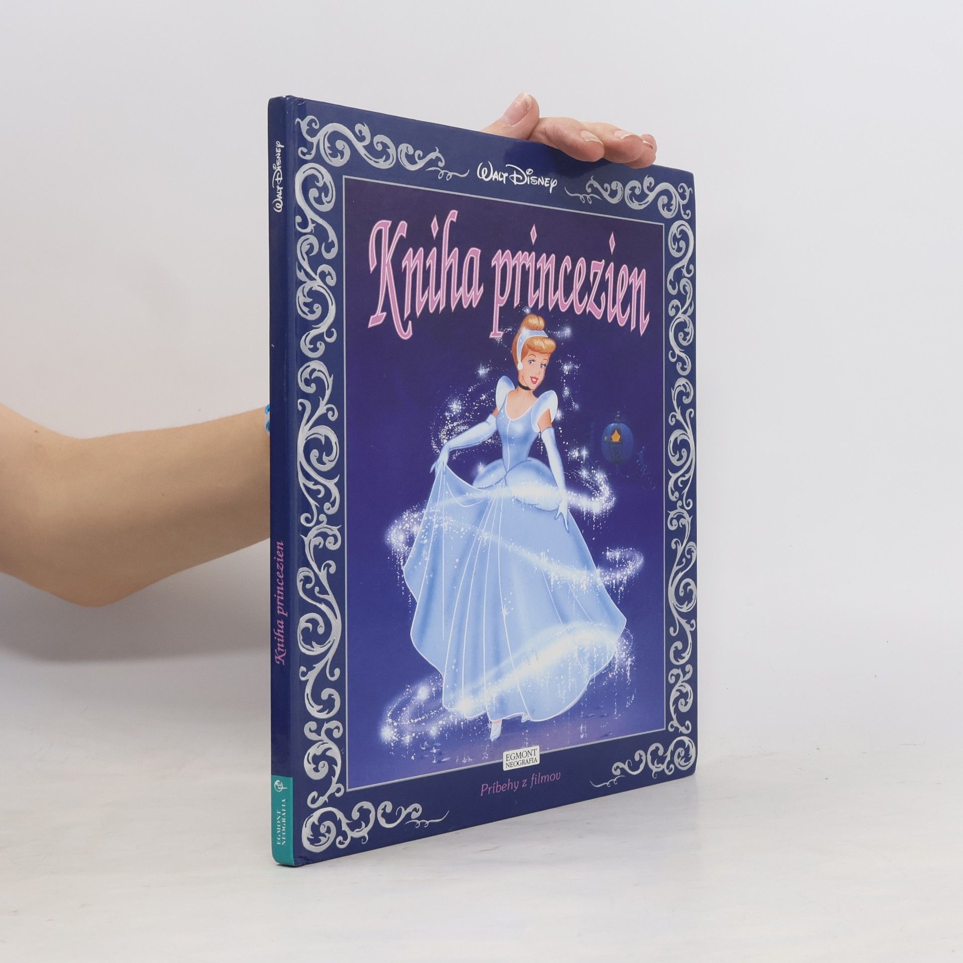 Ann Braybrooks Kniha princezien