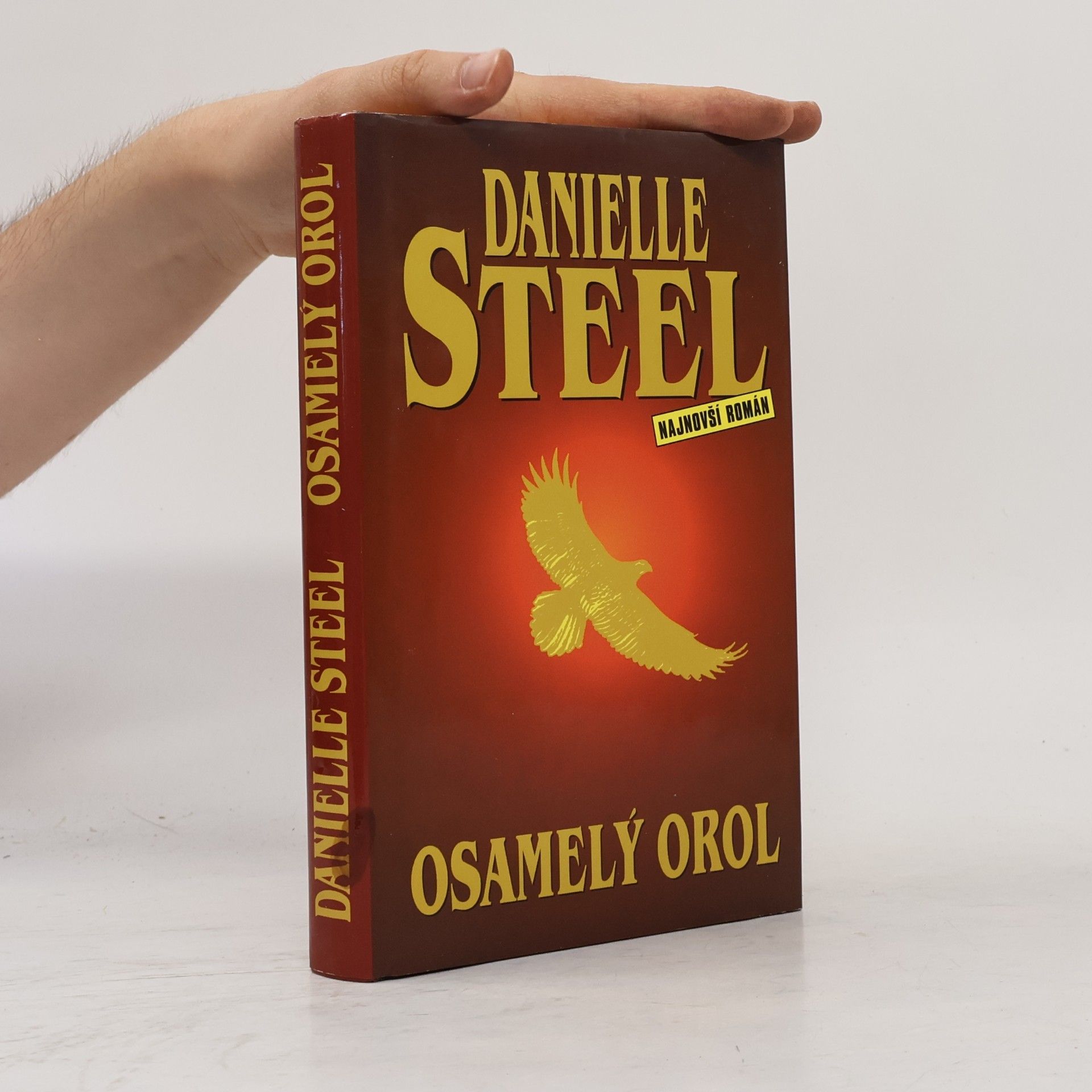 Danielle Steel Osamelý orol