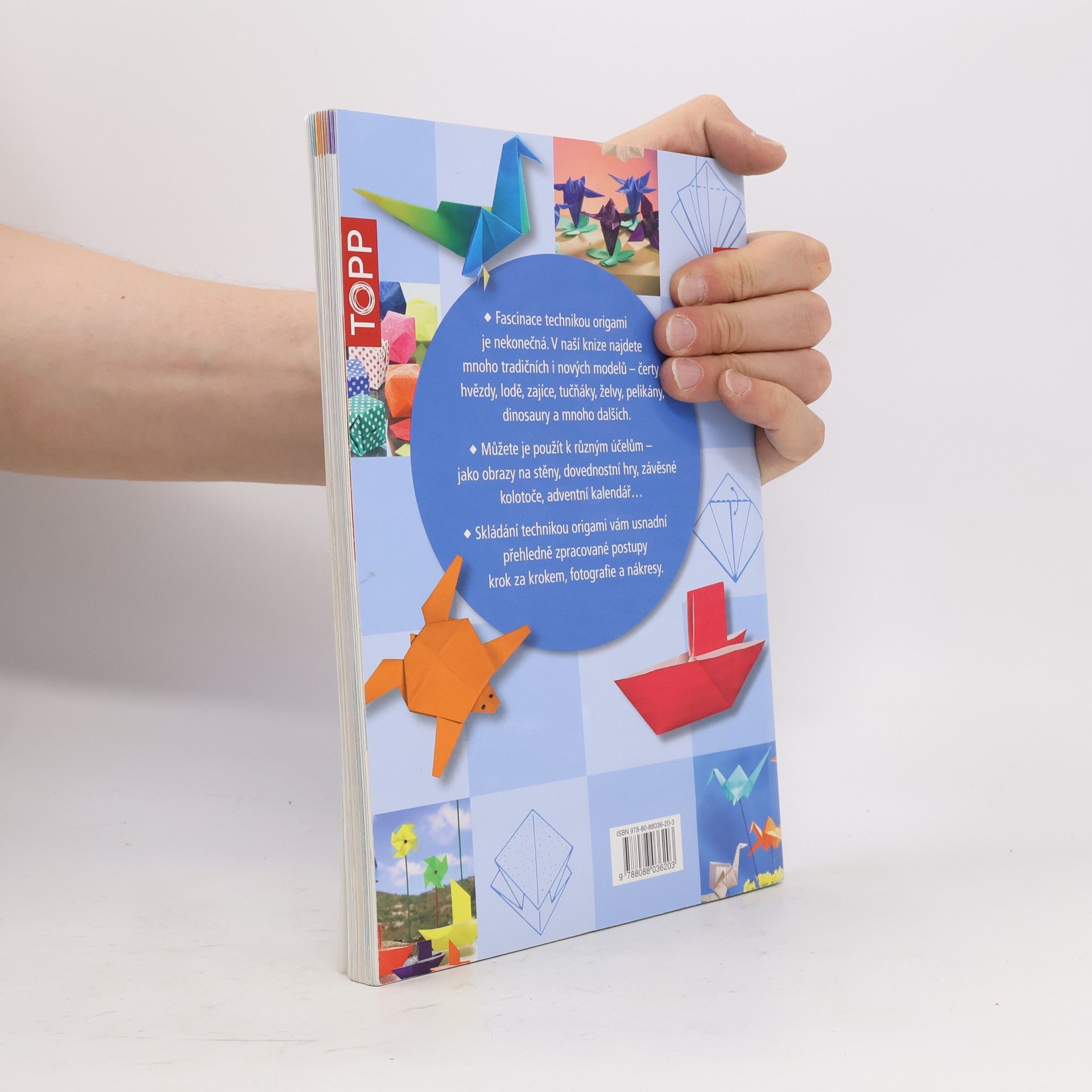 Armin Täubner Origami pro každého : od jednoduchých po náročnější