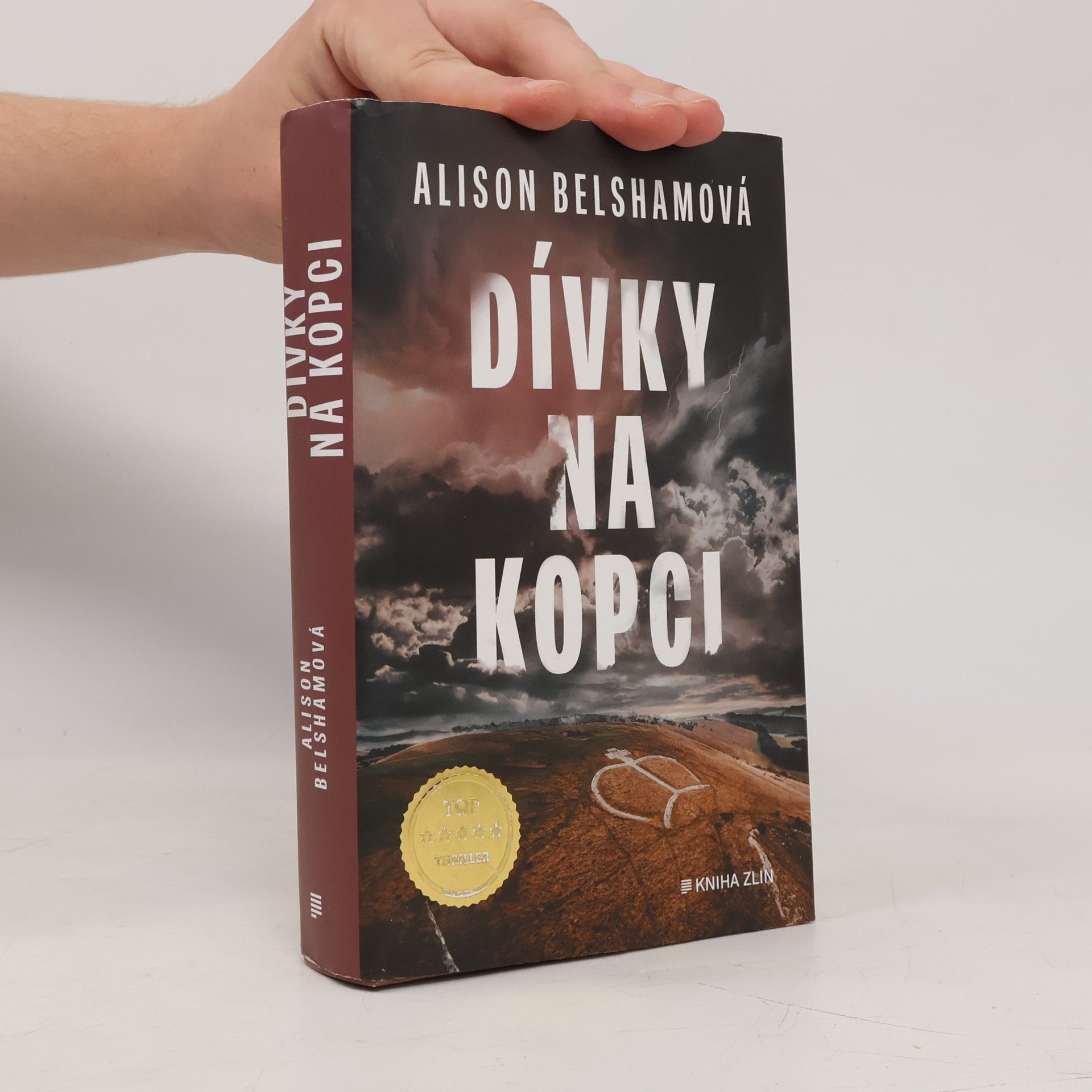 Alison Belsham Dívky na kopci