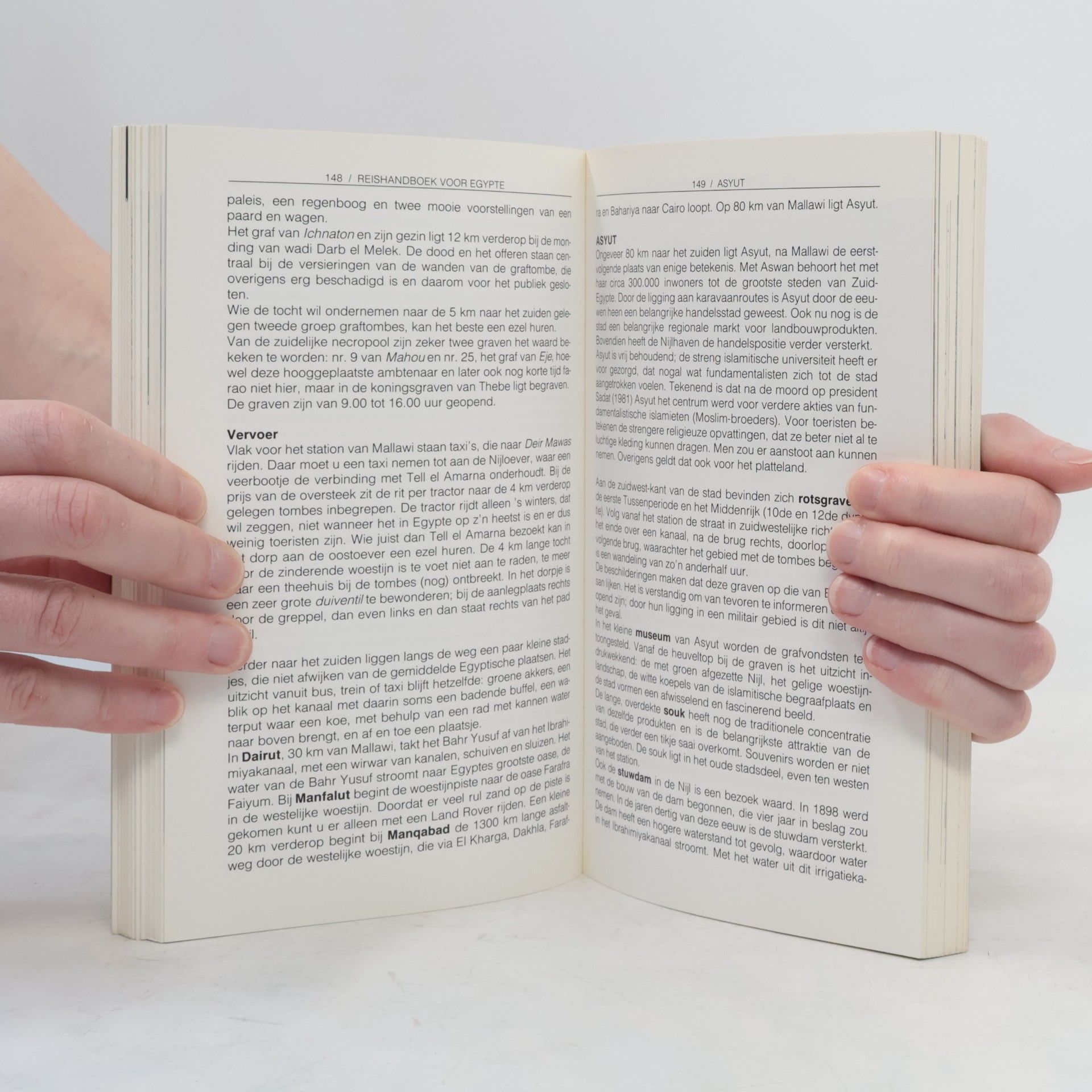 René Grünfeld Reis-Handboek voor Egypte