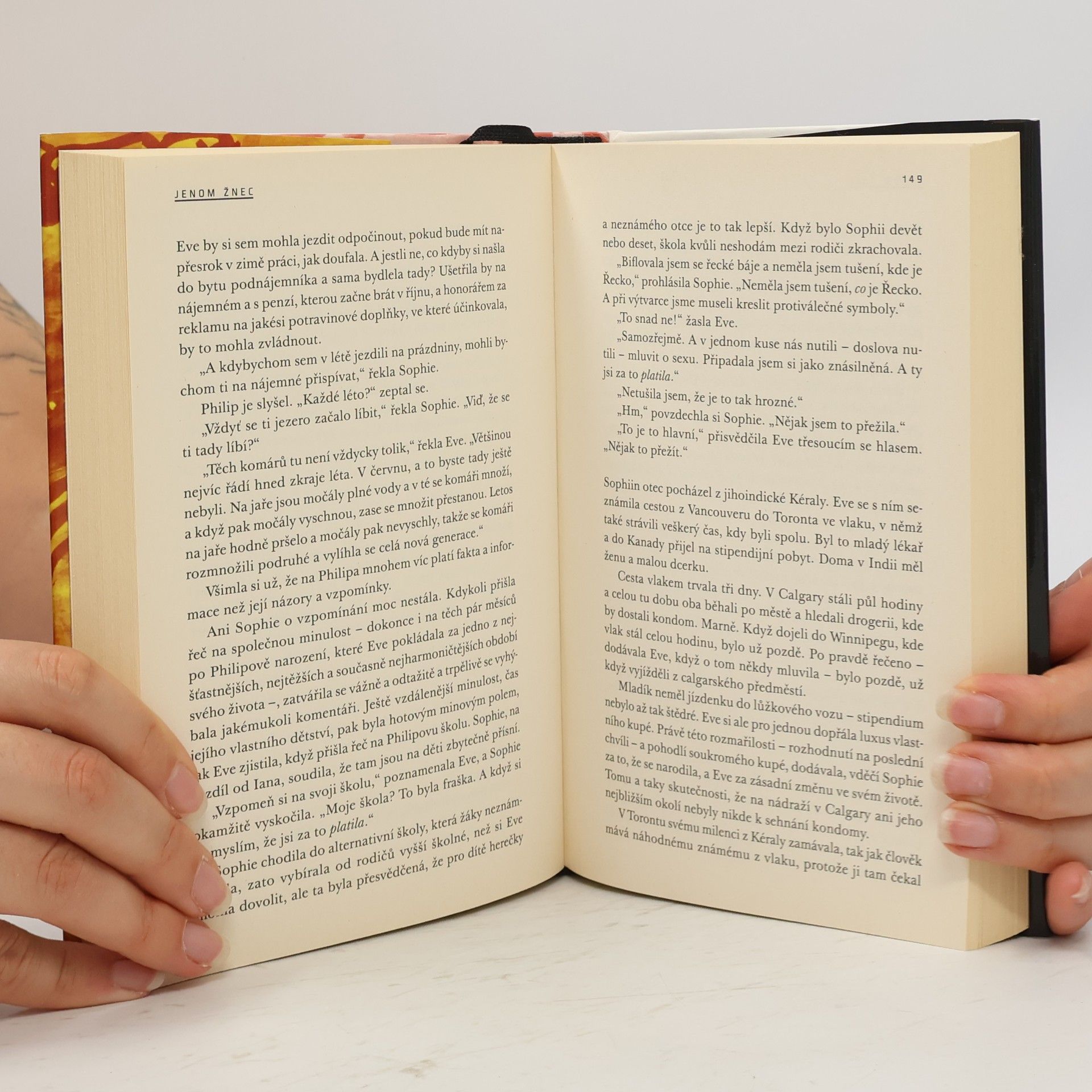 Alice Munro Láska dobré ženy