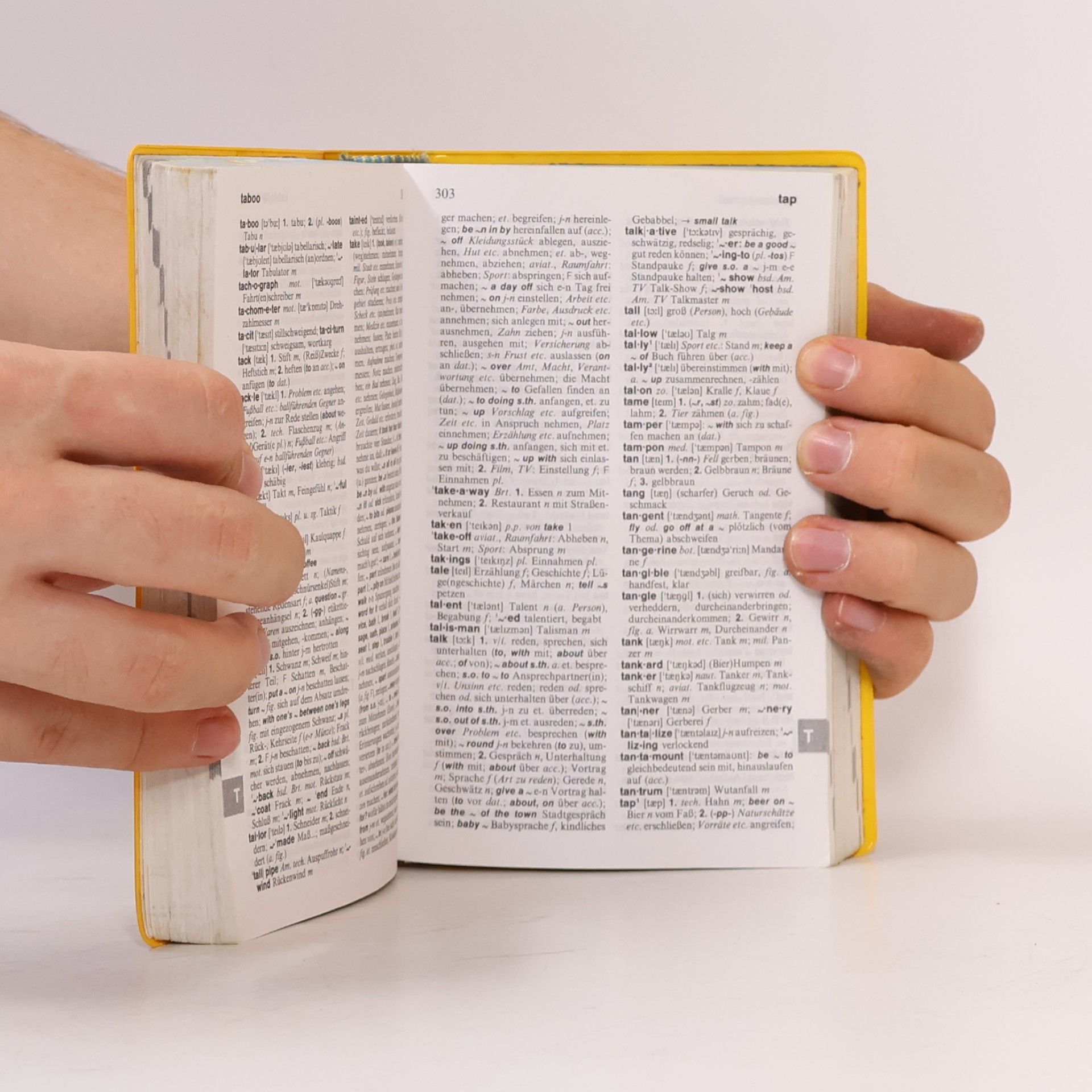 Holger Freese Langenscheidts Schulwörterbuch Englisch