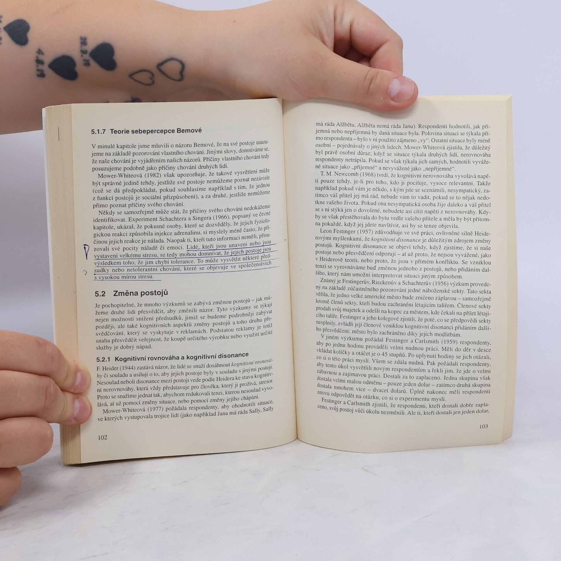 Irena Štěpaníková Základy sociální psychologie