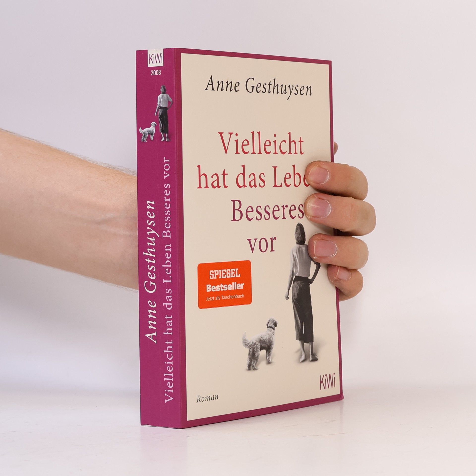 Anne Gesthuysen Vielleicht hat das Leben Besseres vor: Roman