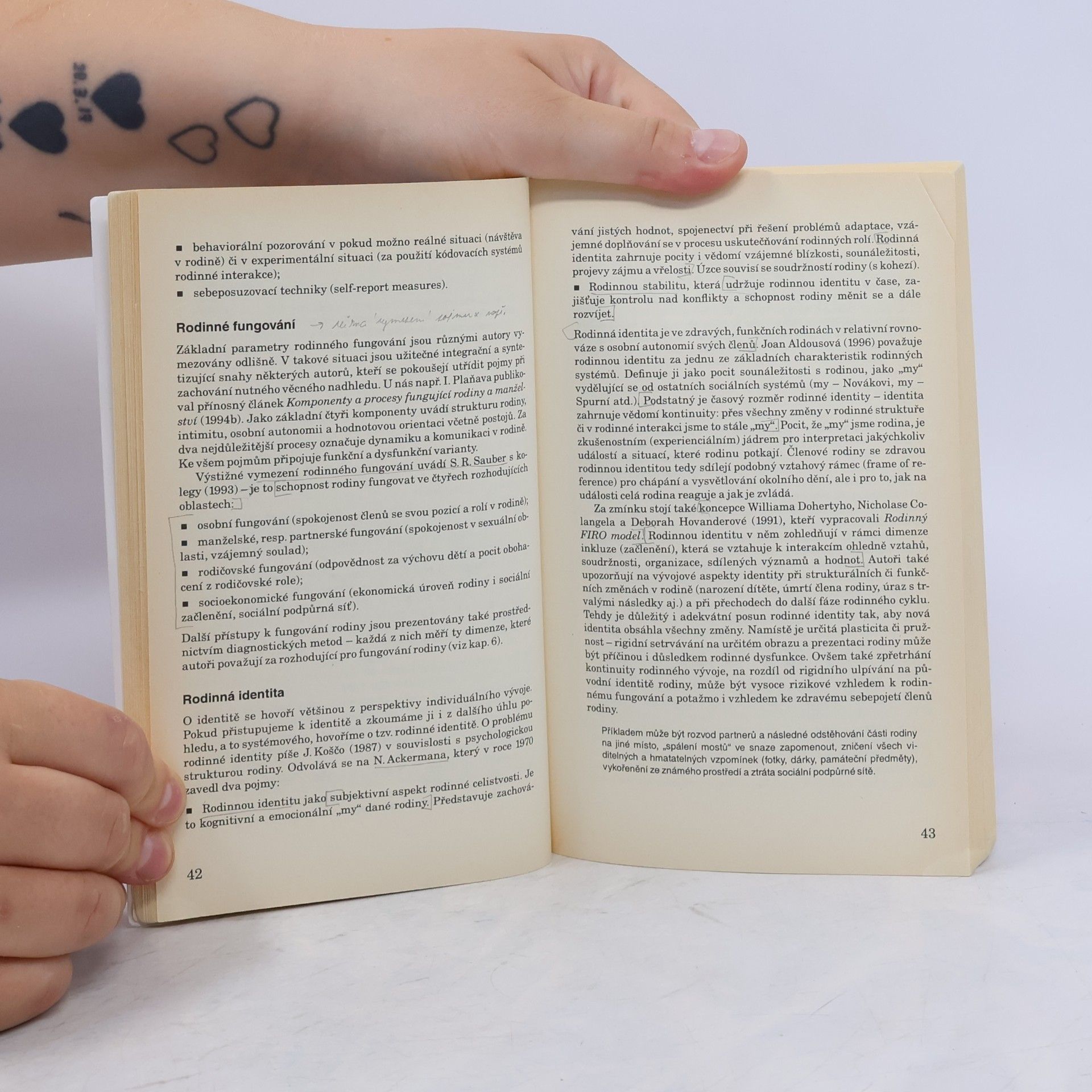 Irena Sobotková Psychologie rodiny