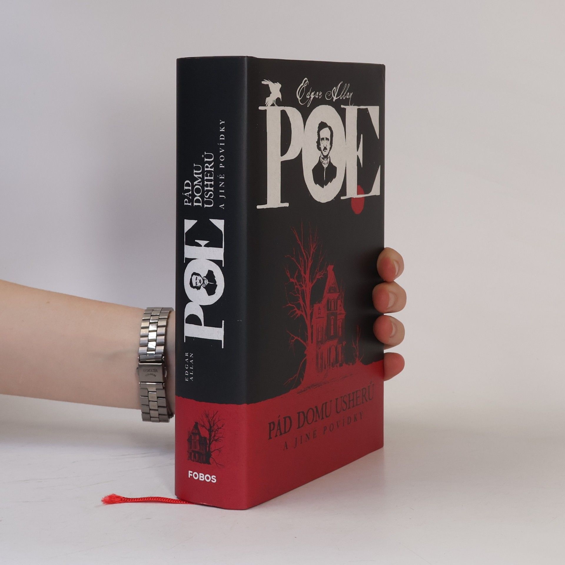 Edgar Allan Poe Pád Domu Usherů a jiné povídky