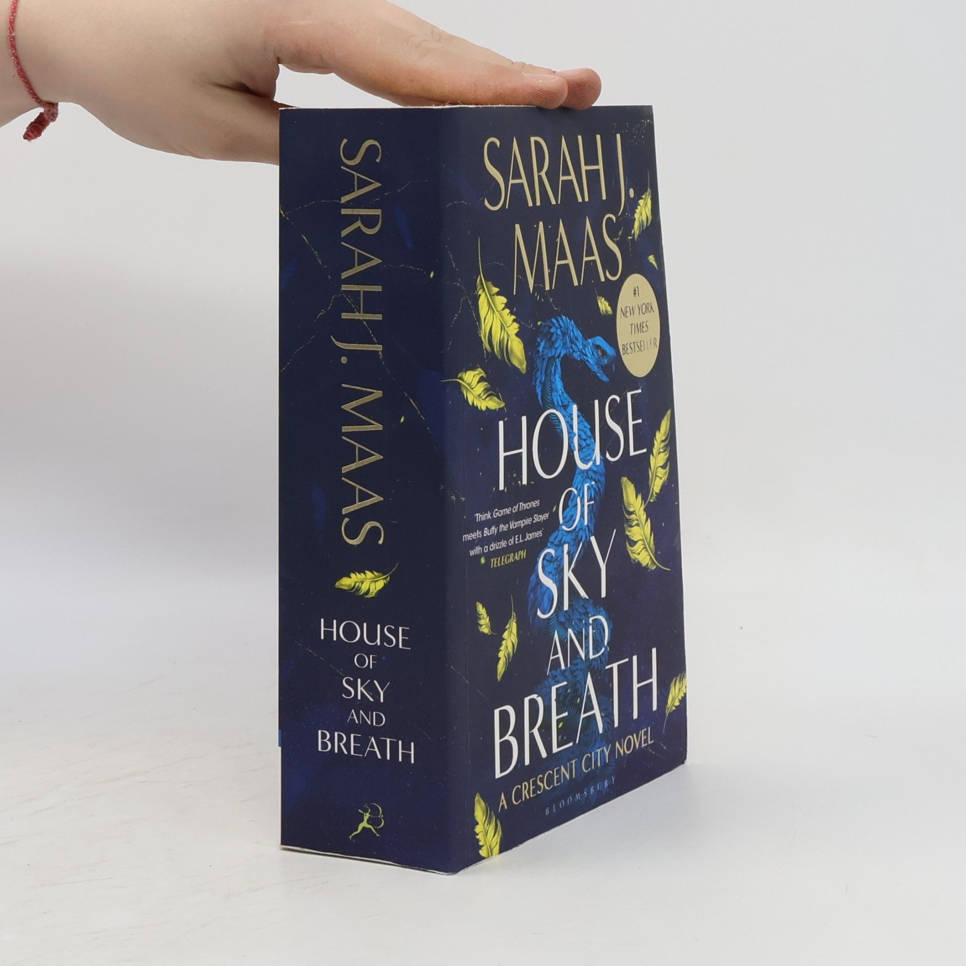 Sarah J. Maas House of Sky and Breath