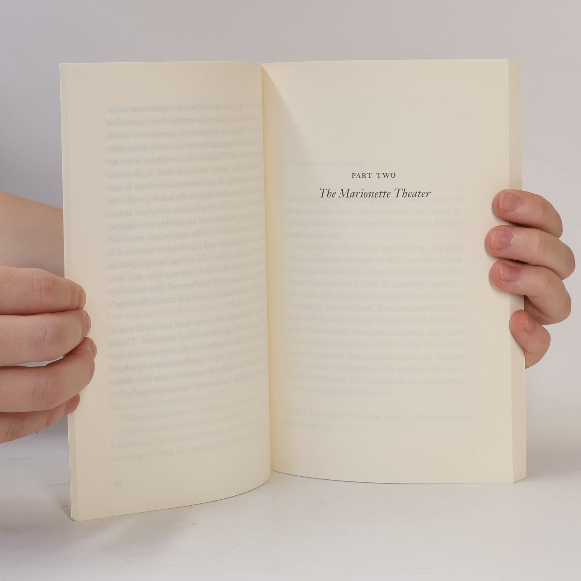 Milan Kundera The festival of insignificance