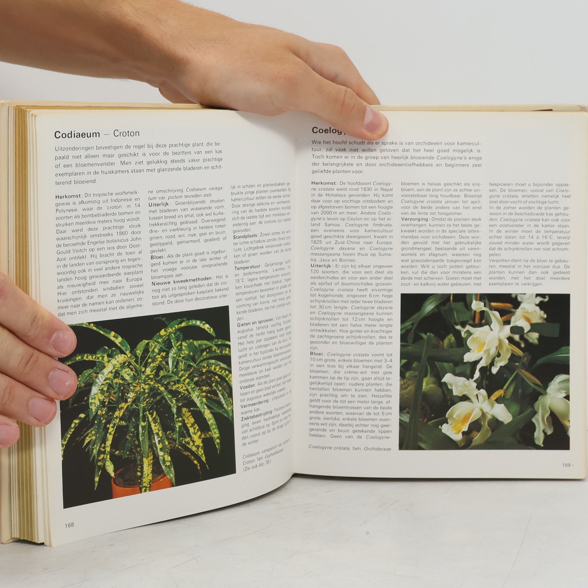 Rob Herwig Het Grote Kamerplantenboek