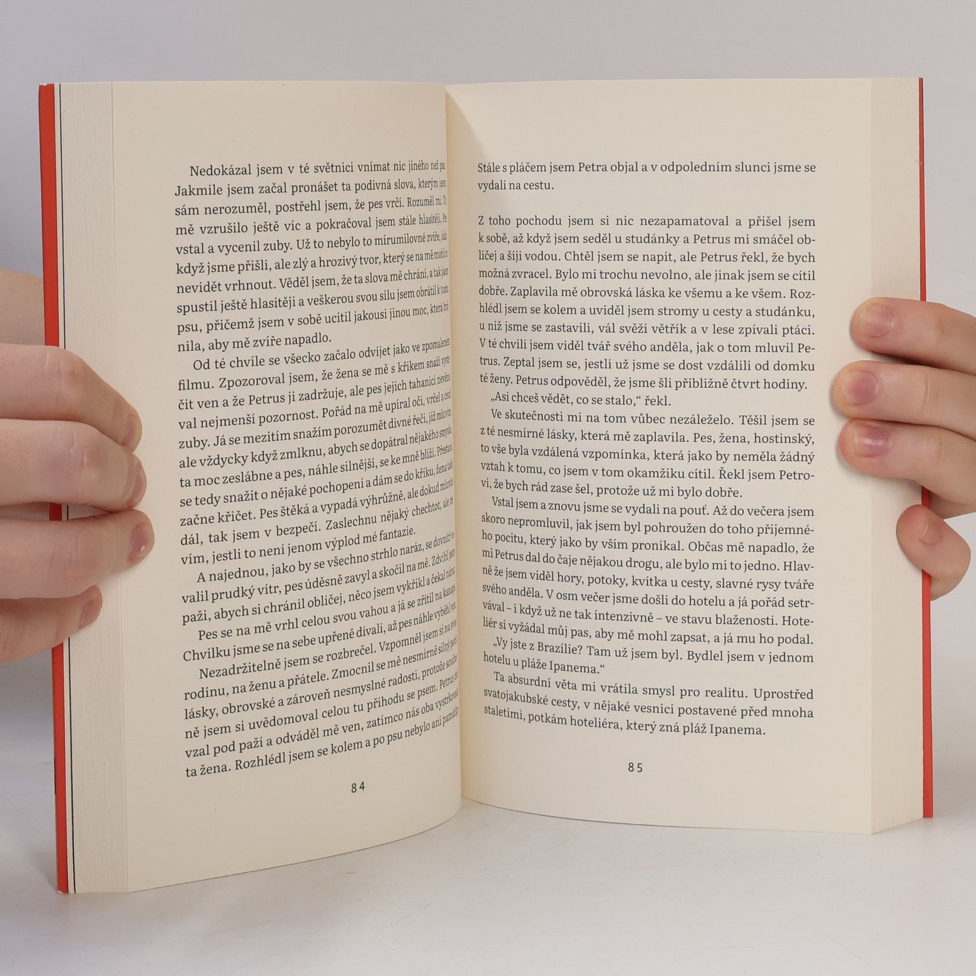 Paulo Coelho Poutník : mágův deník