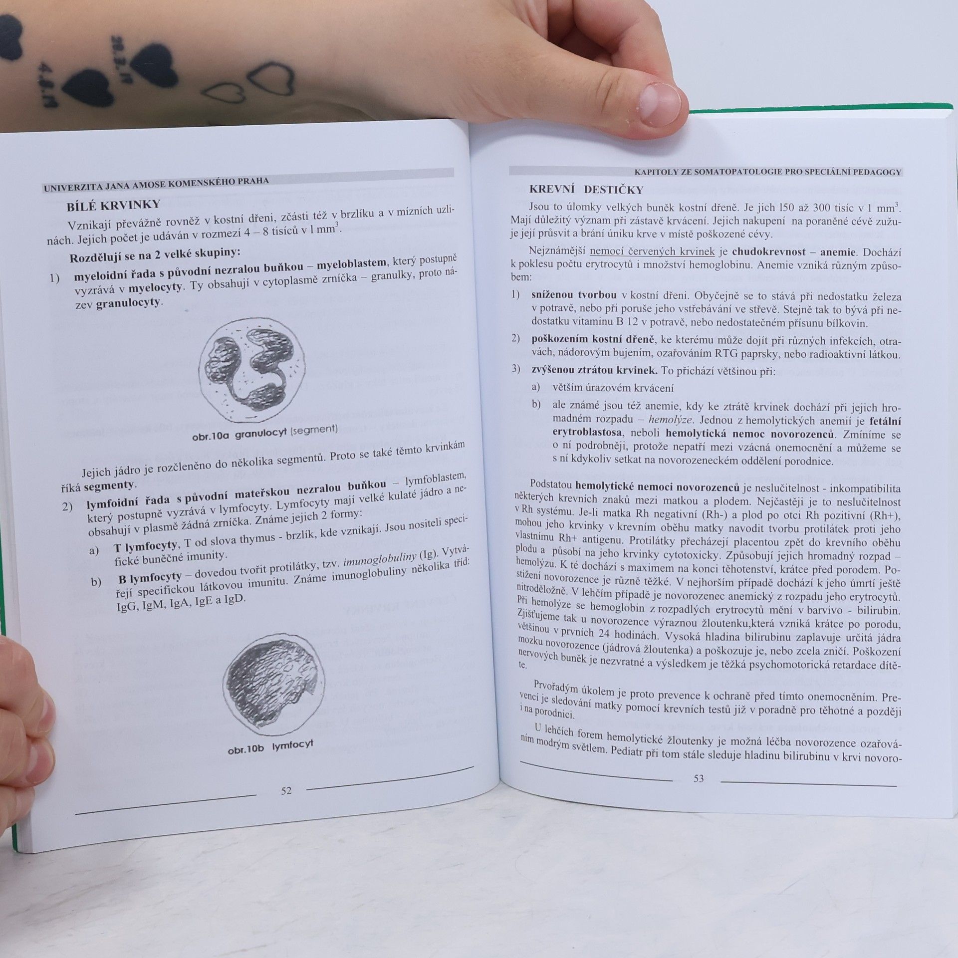Milan Zajíc Kapitoly ze somatopatologie. Pro speciální pedagogy