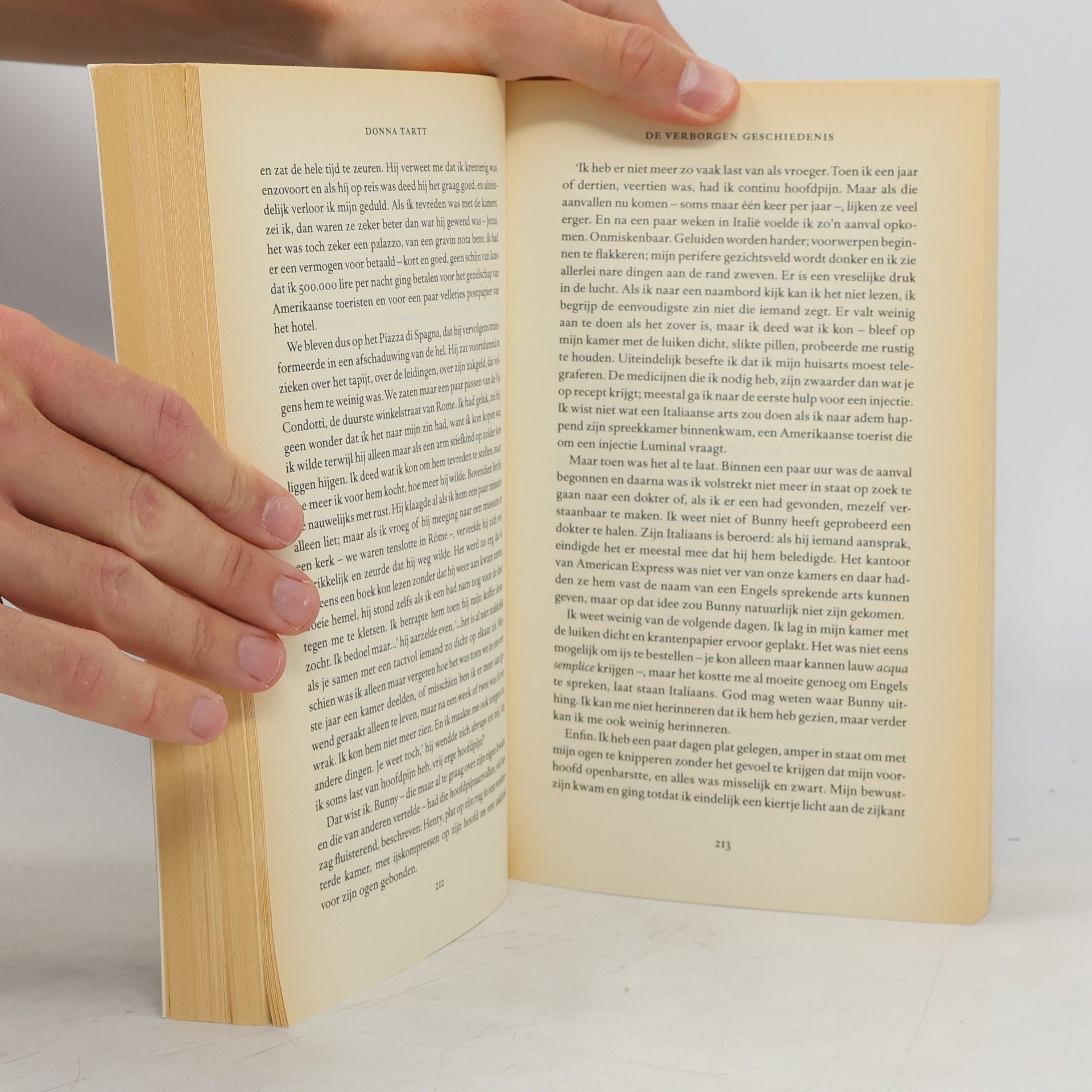 Donna Tartt De verborgen geschiedenis