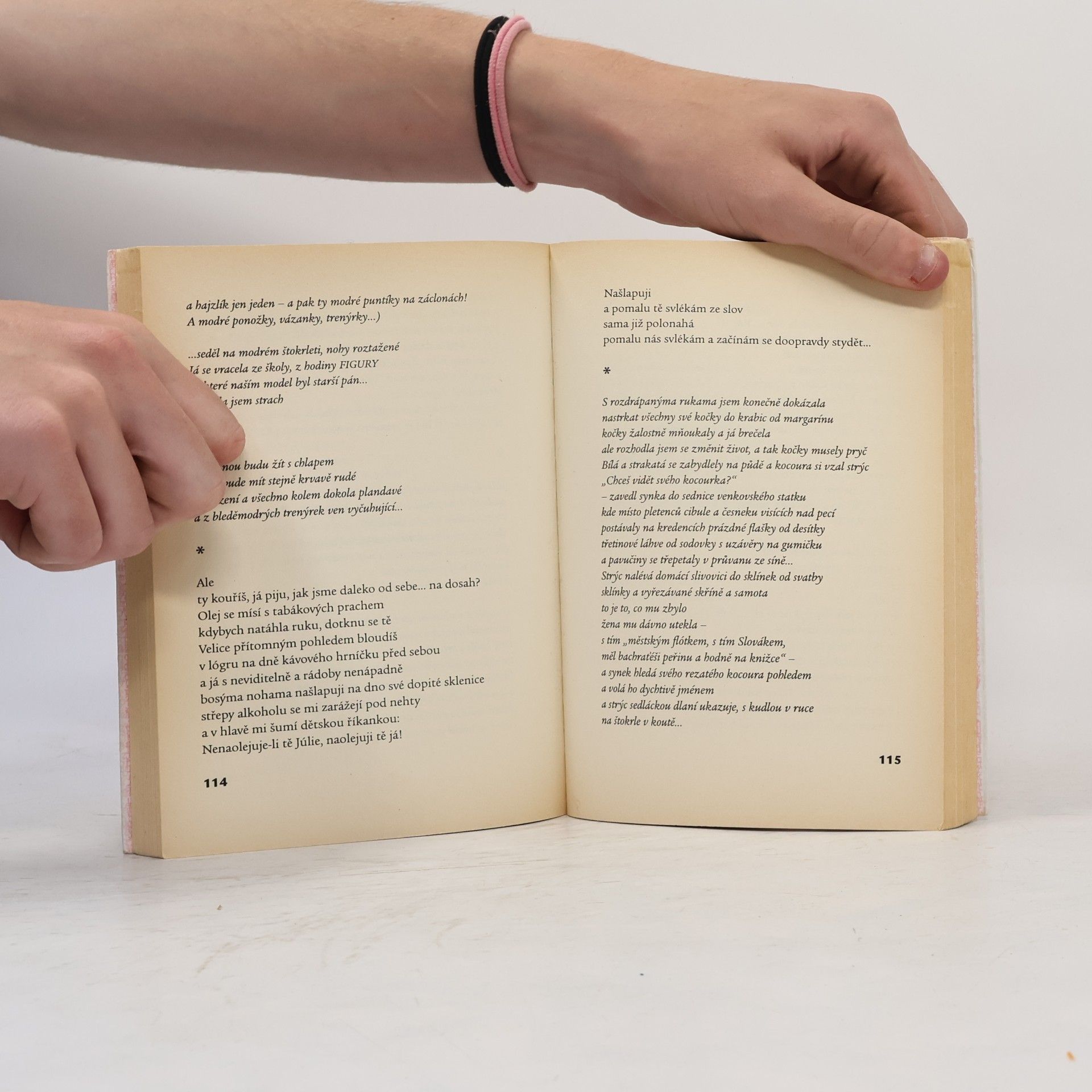 Zora Růžová Schody od muzea